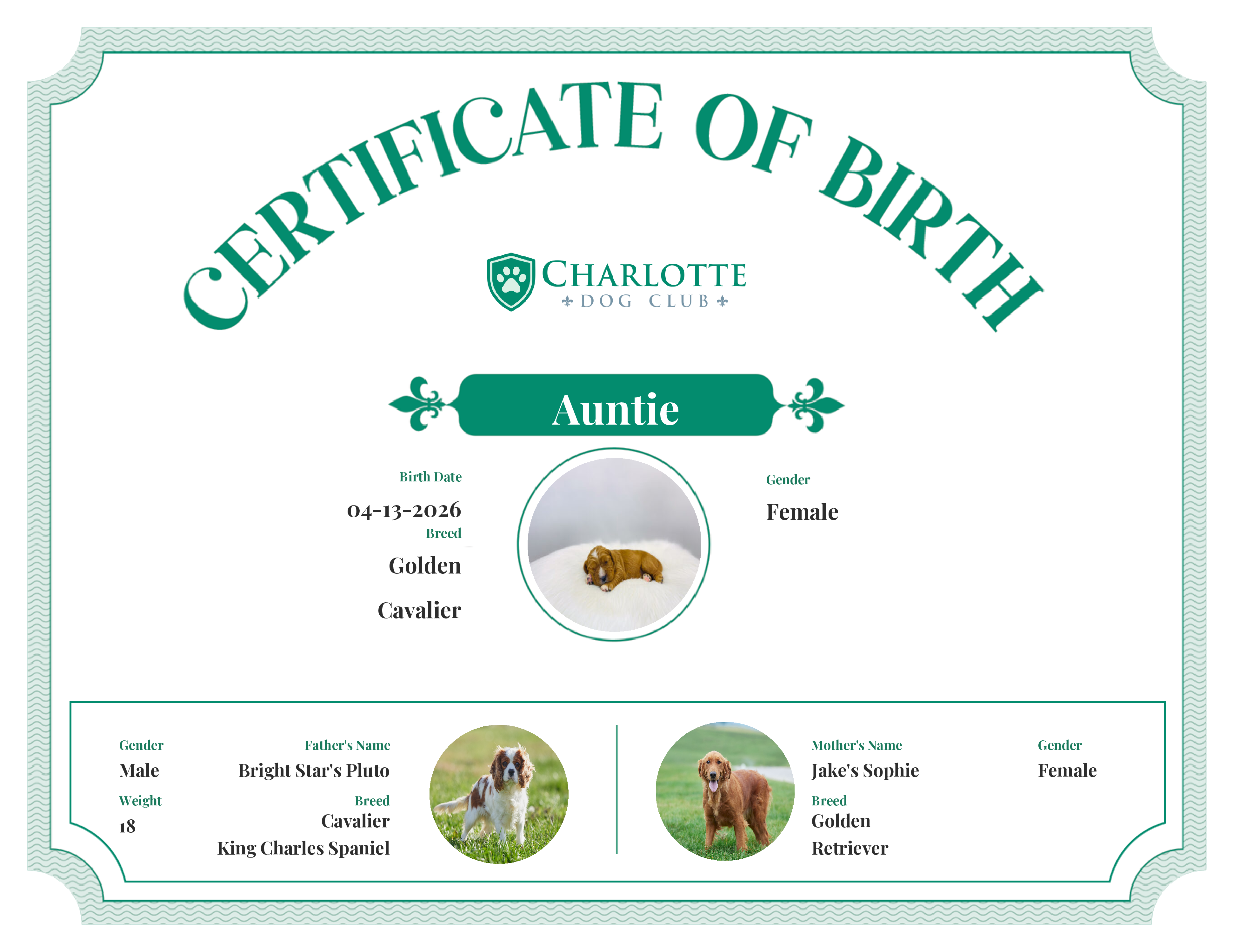 Auntie's Birth Certificate
