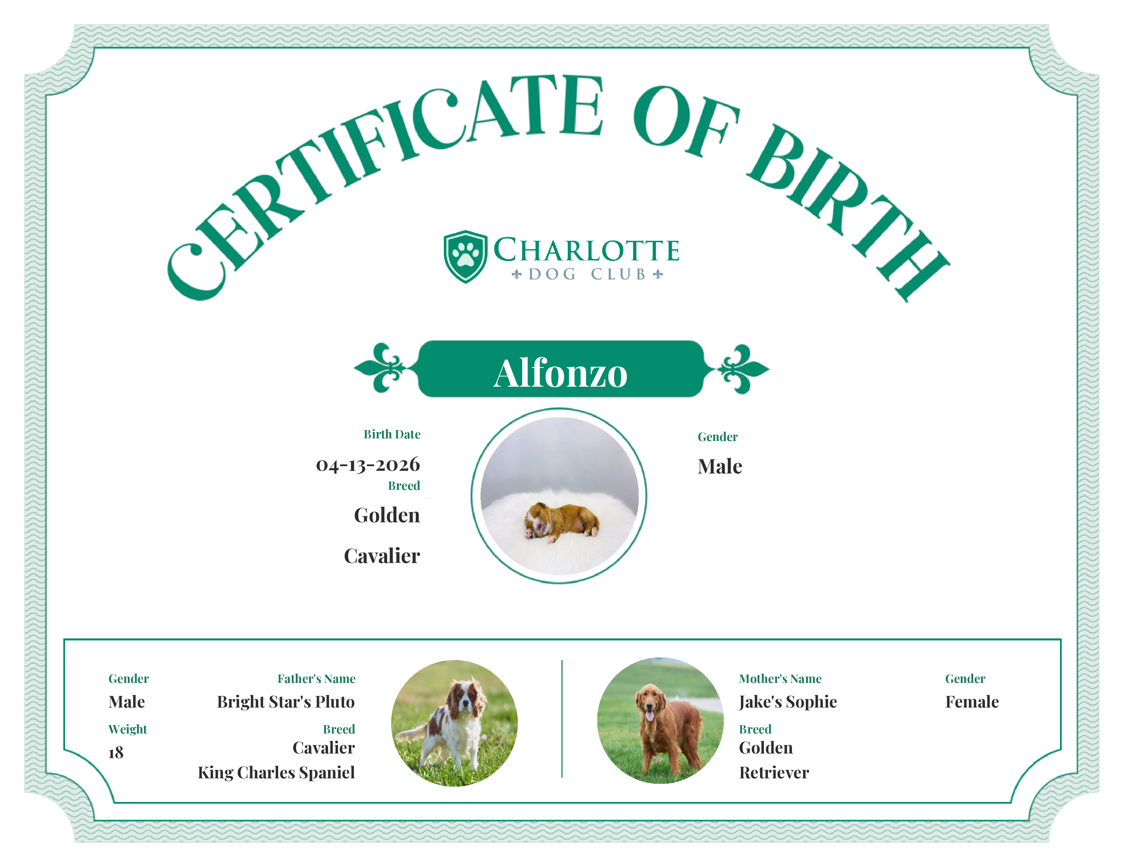 Alfonzo's Birth Certificate