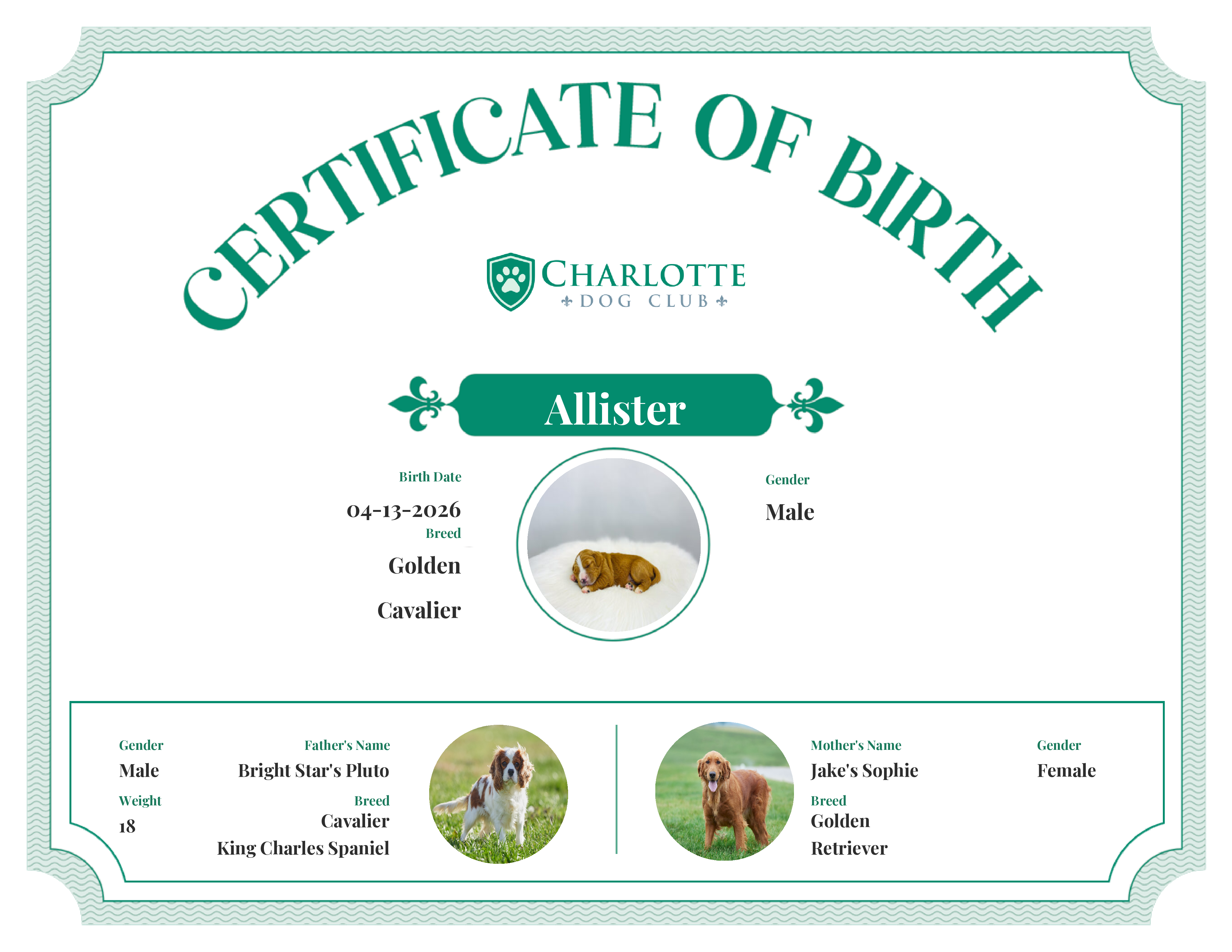 Allister's Birth Certificate