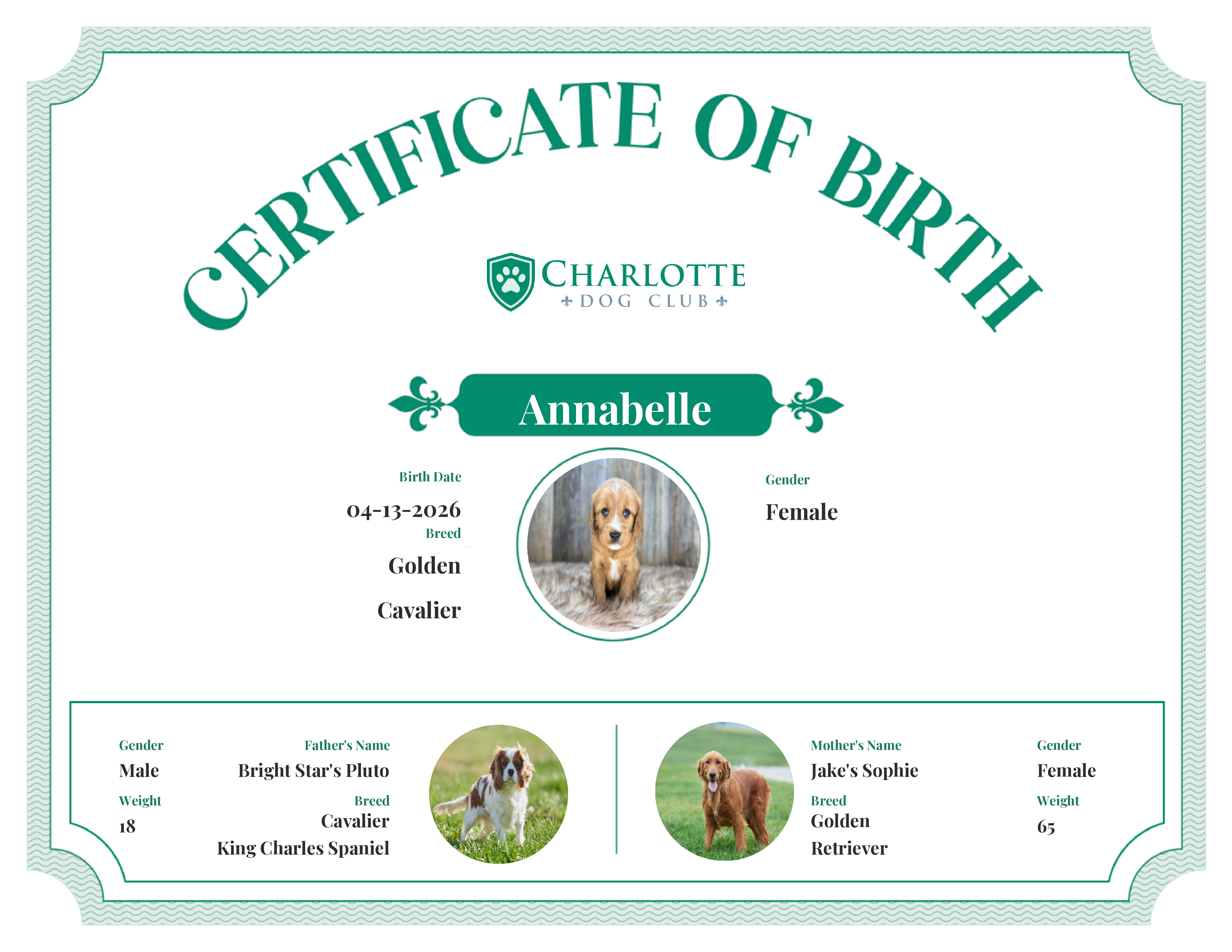 Annabelle's Birth Certificate