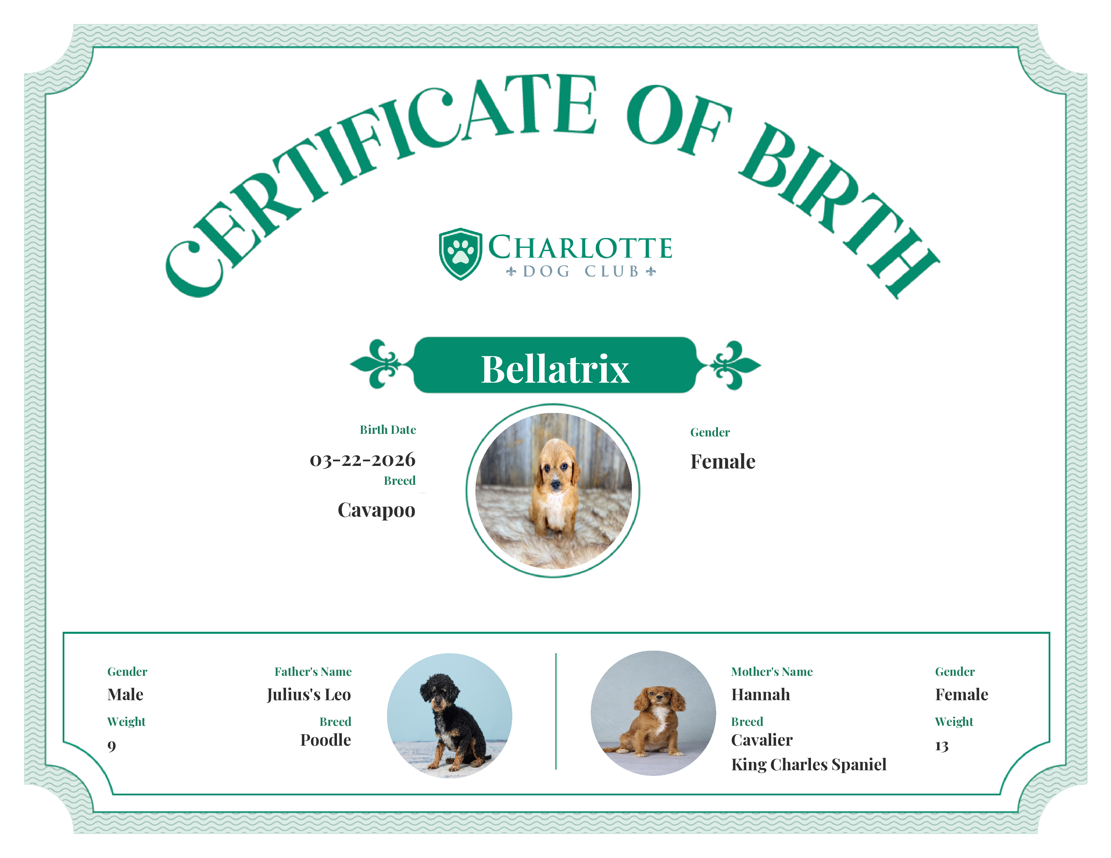 Bellatrix's Birth Certificate