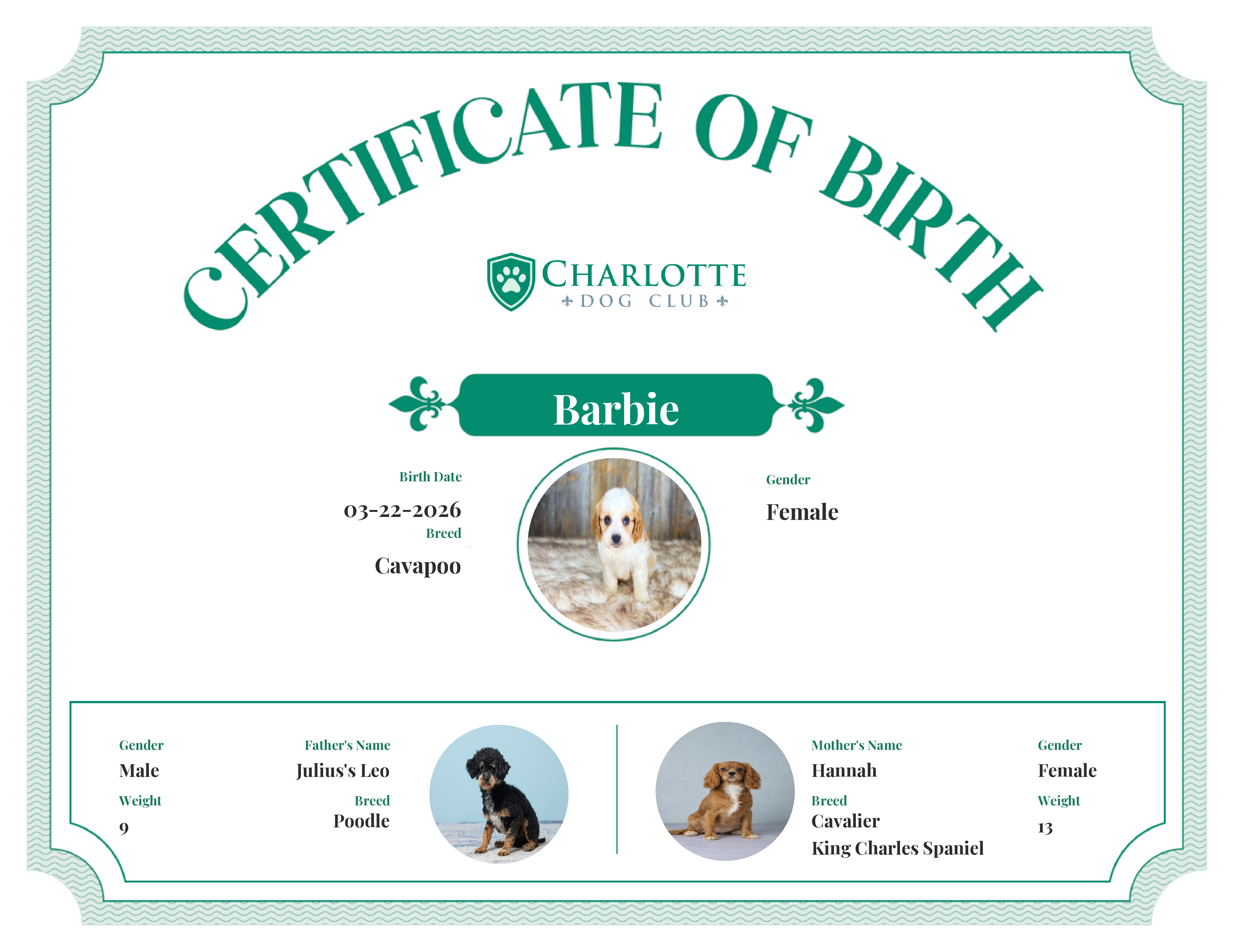 Barbie's Birth Certificate