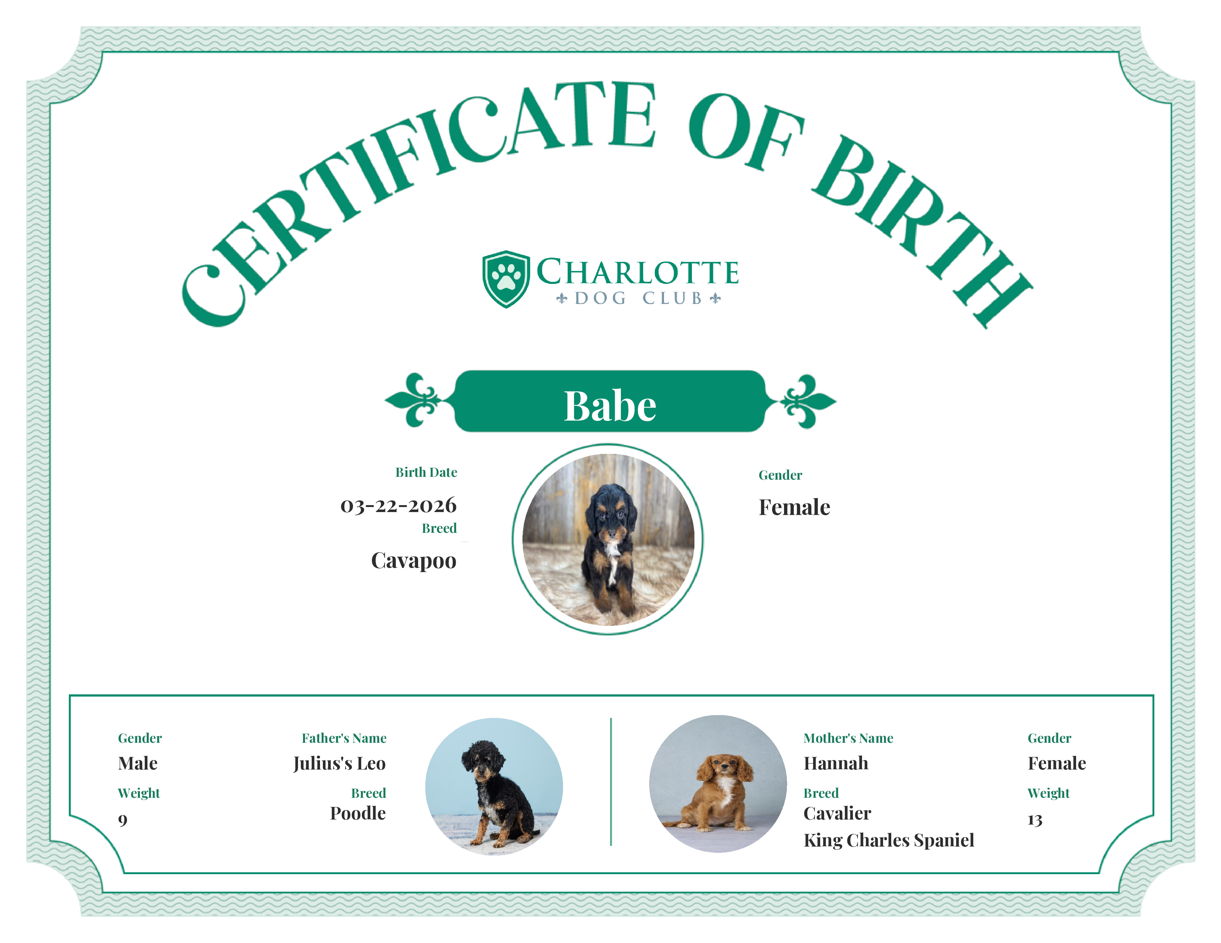 Babe's Birth Certificate