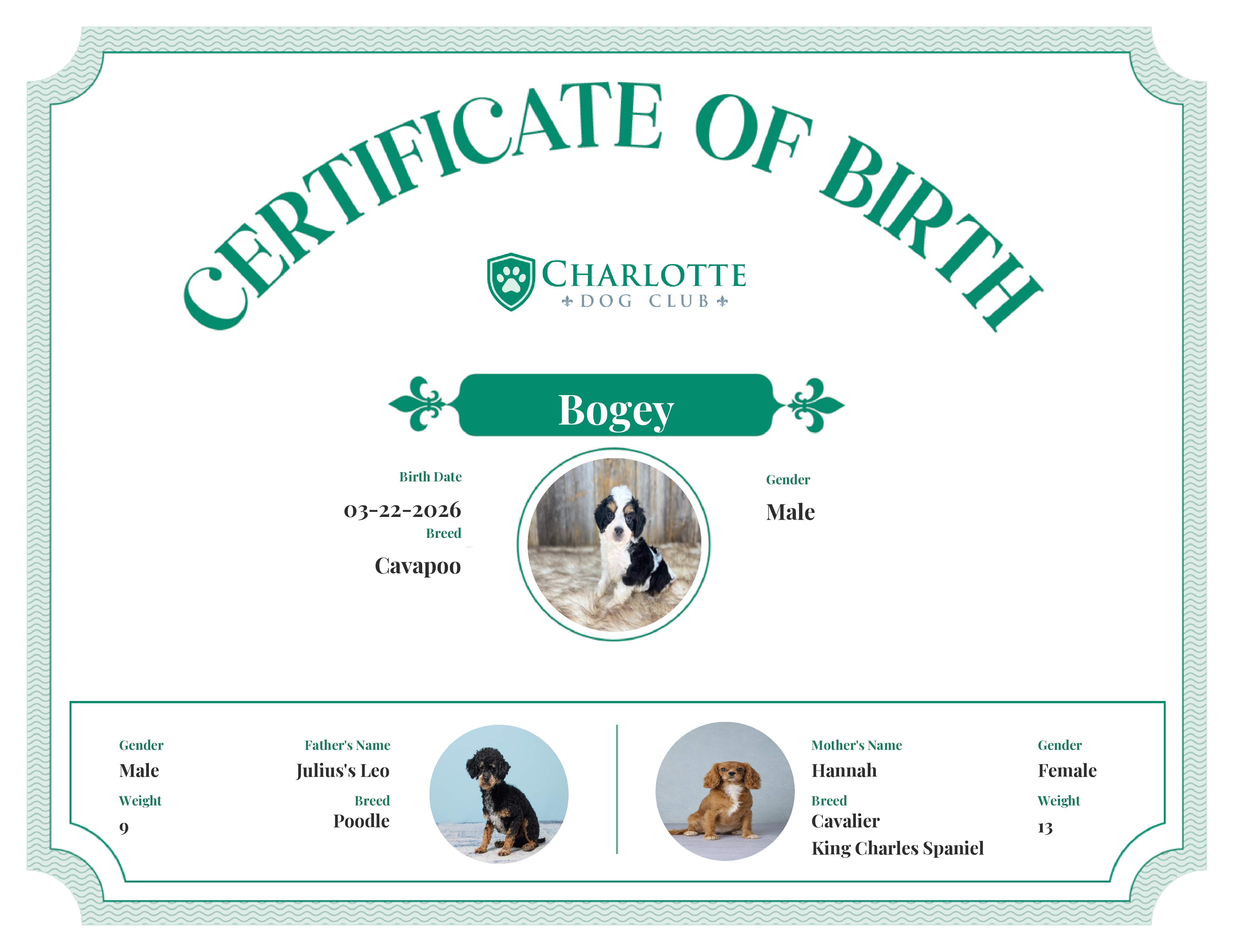 Bogey's Birth Certificate