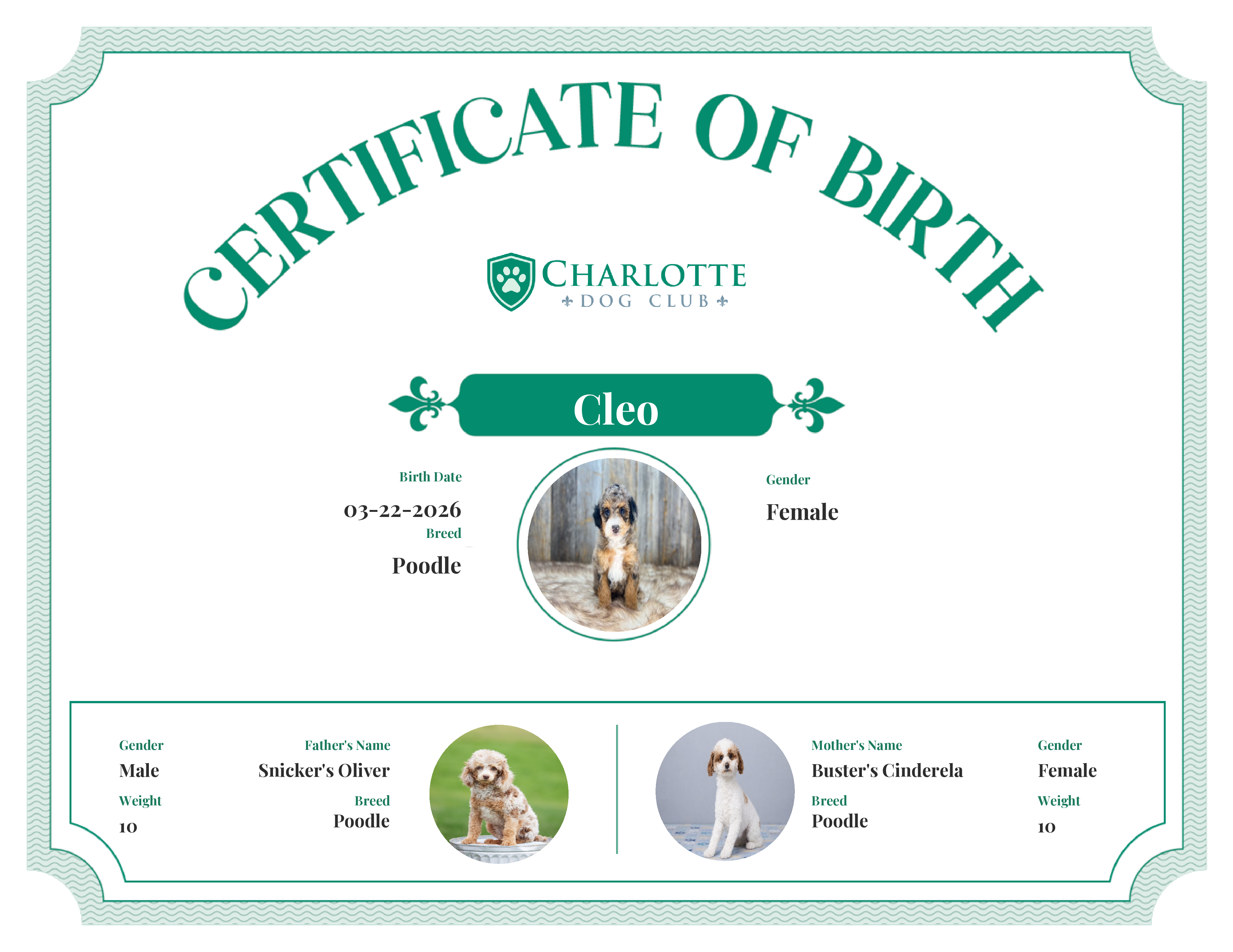 Cleo's Birth Certificate