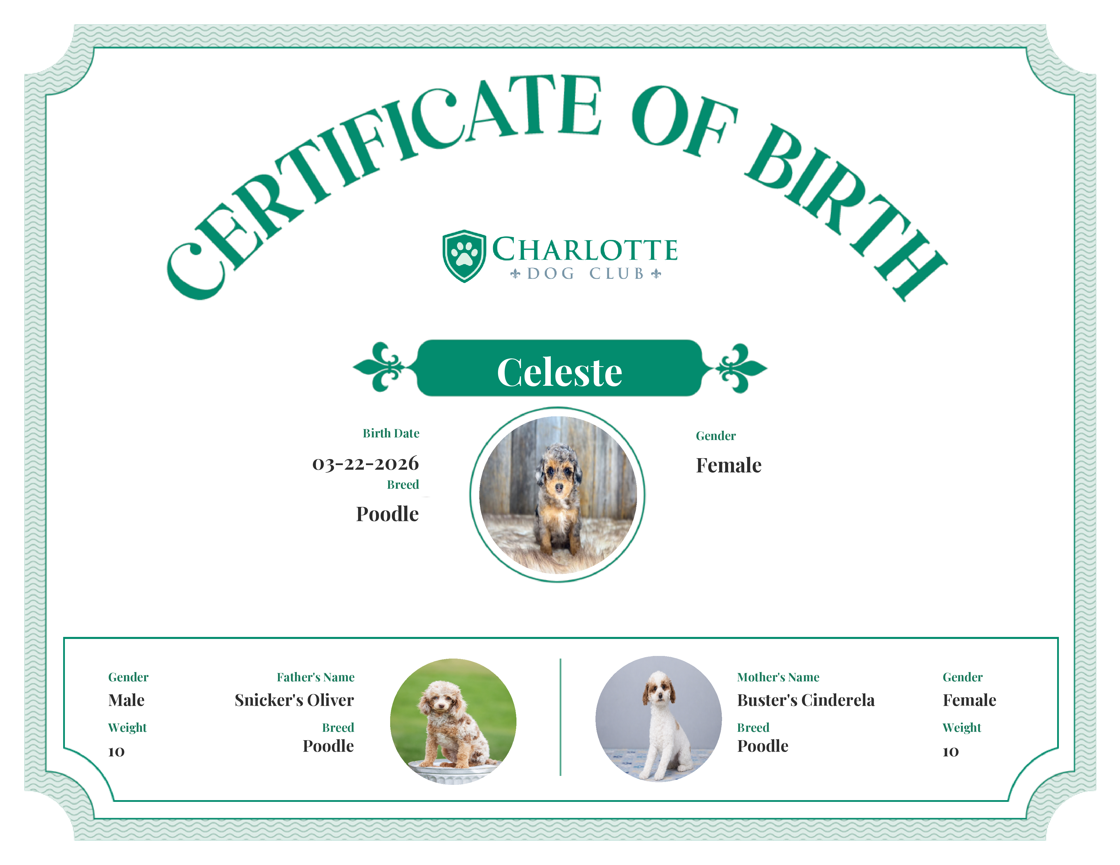 Celeste's Birth Certificate