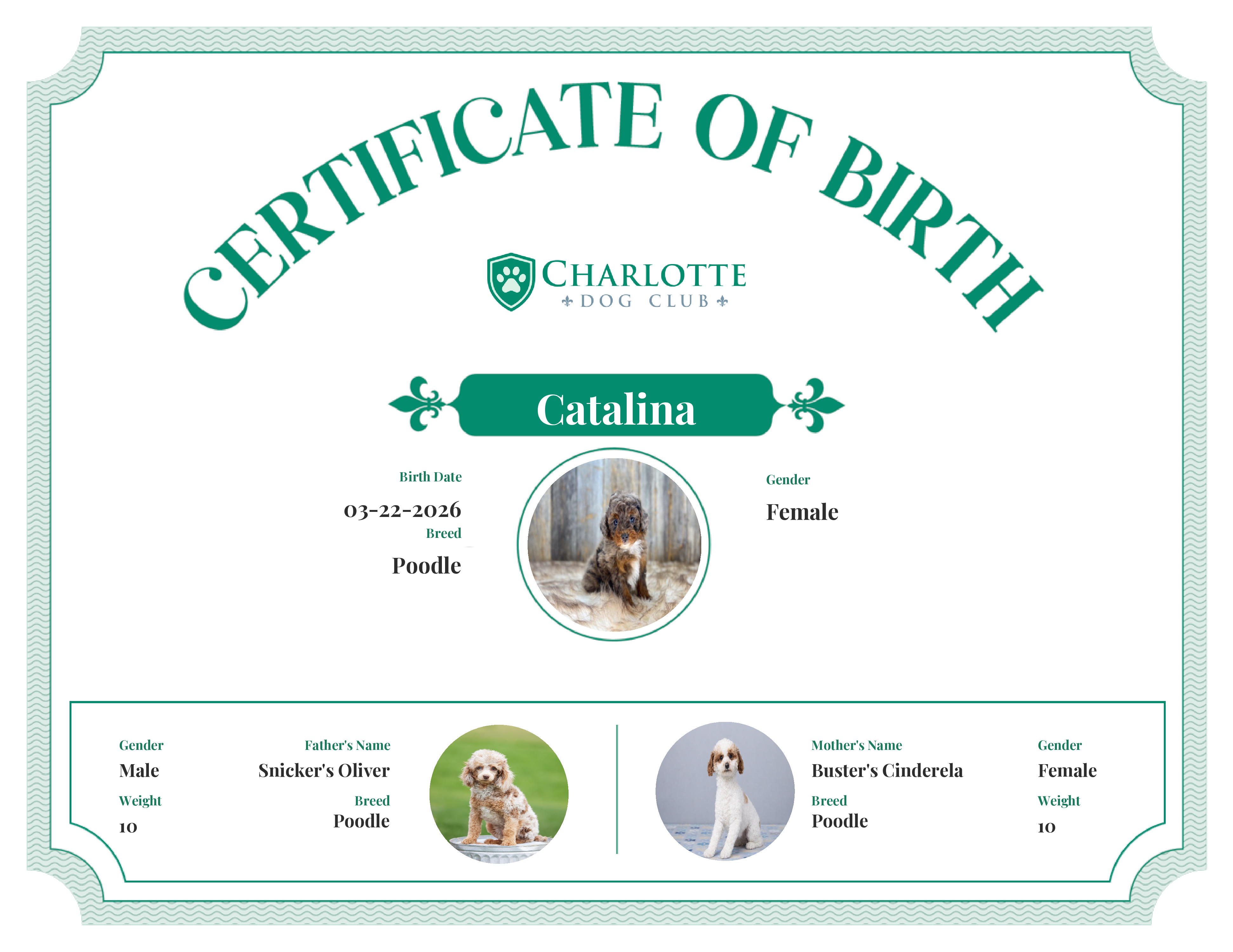 Catalina's Birth Certificate