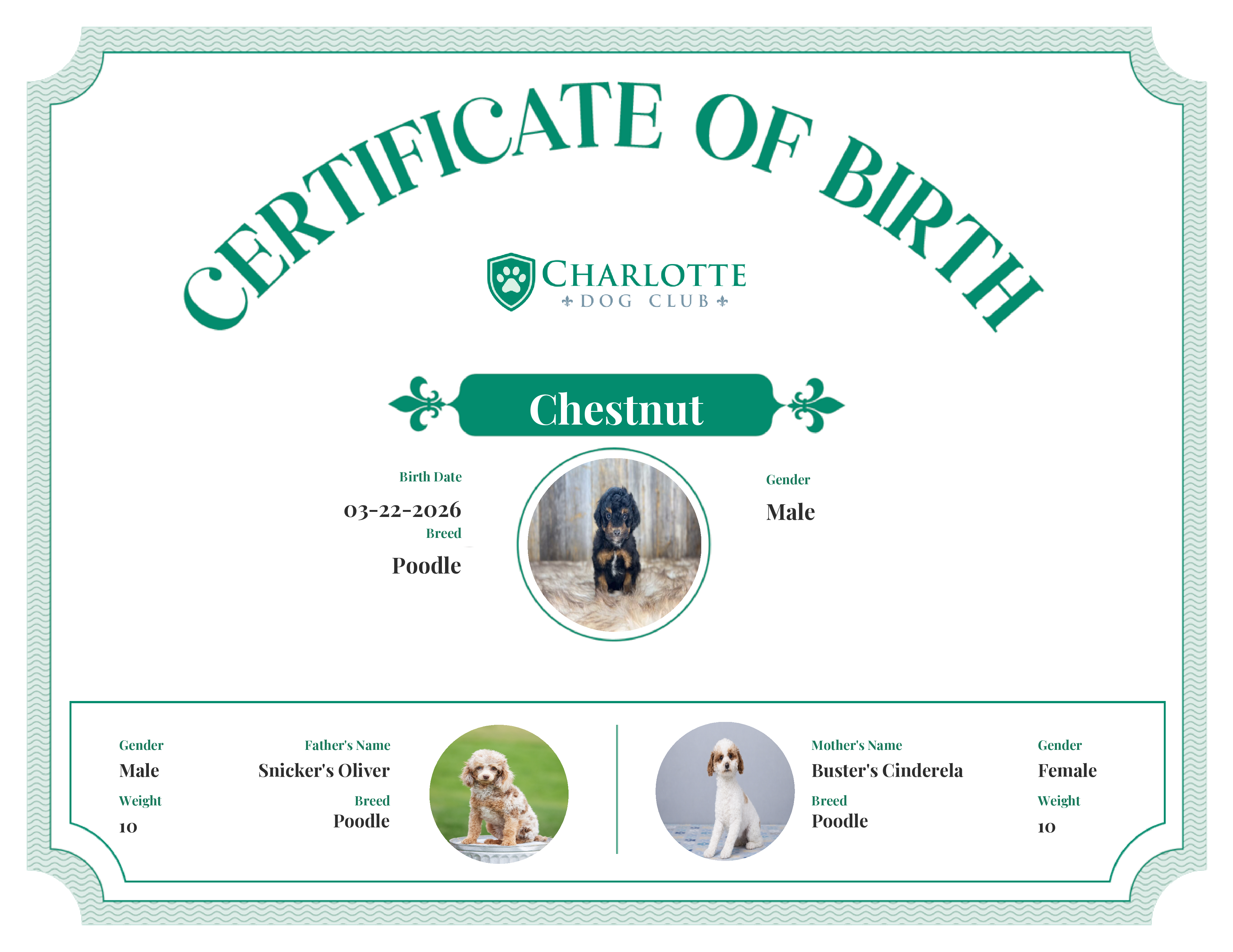 Chestnut's Birth Certificate