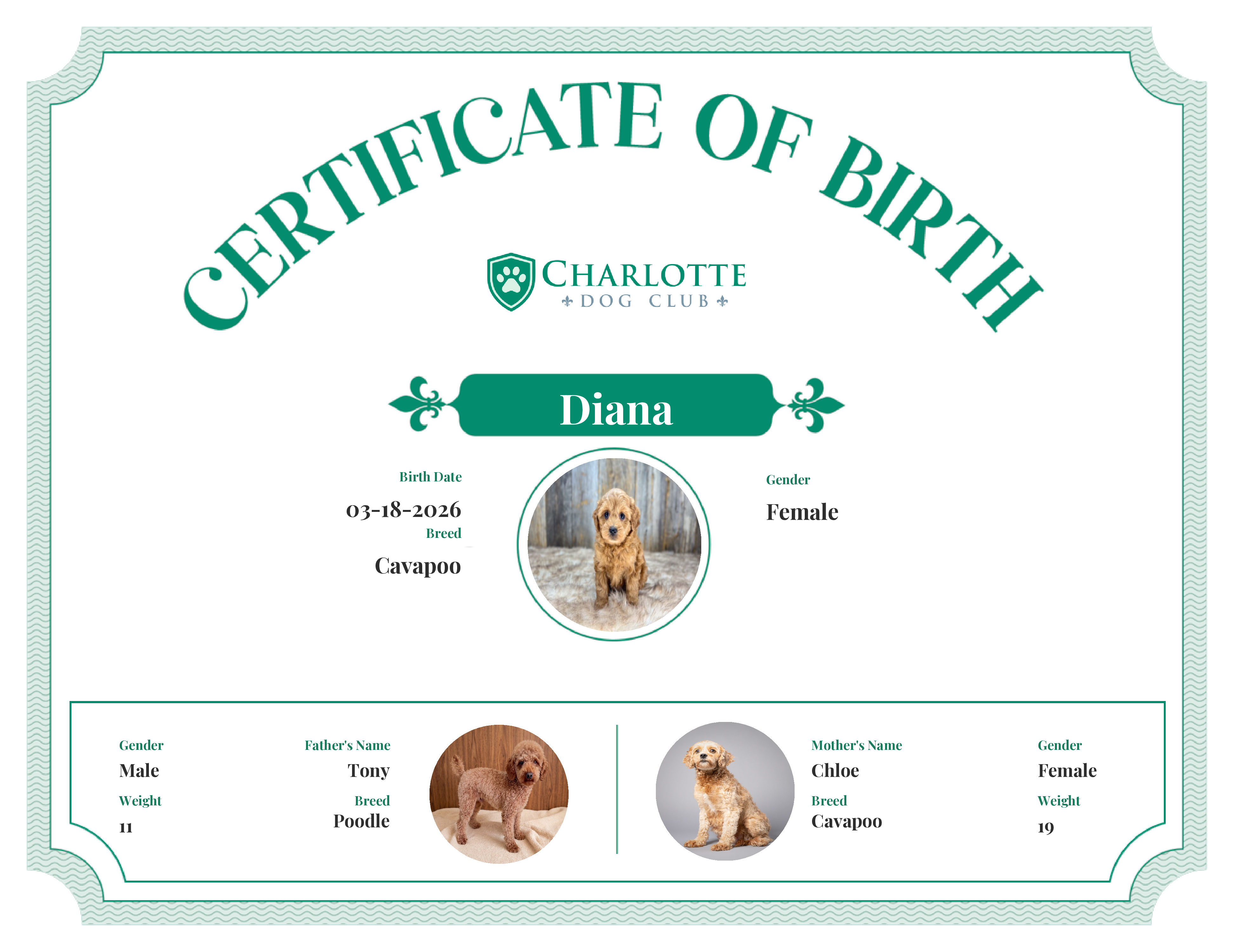 Diana's Birth Certificate
