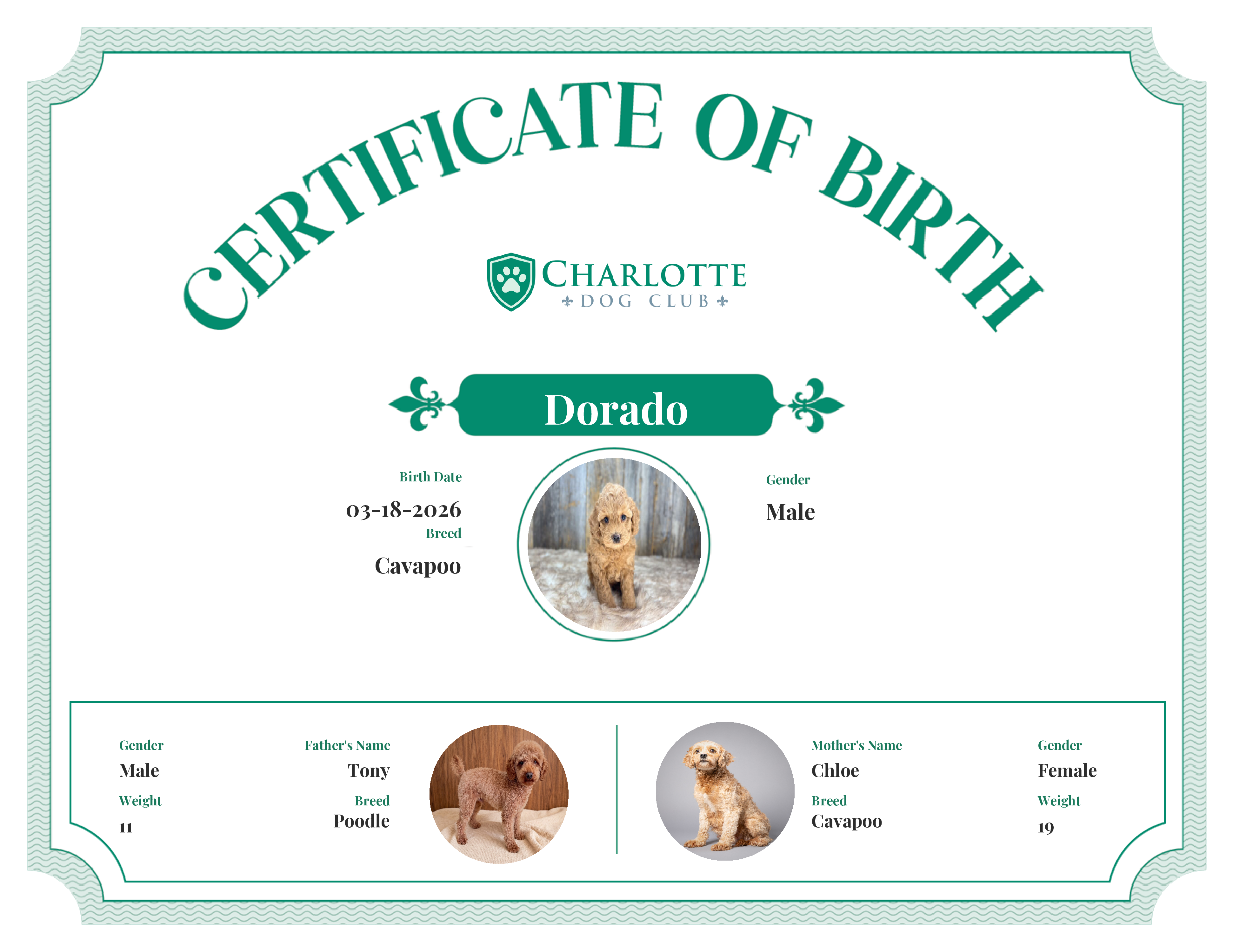 Dorado's Birth Certificate