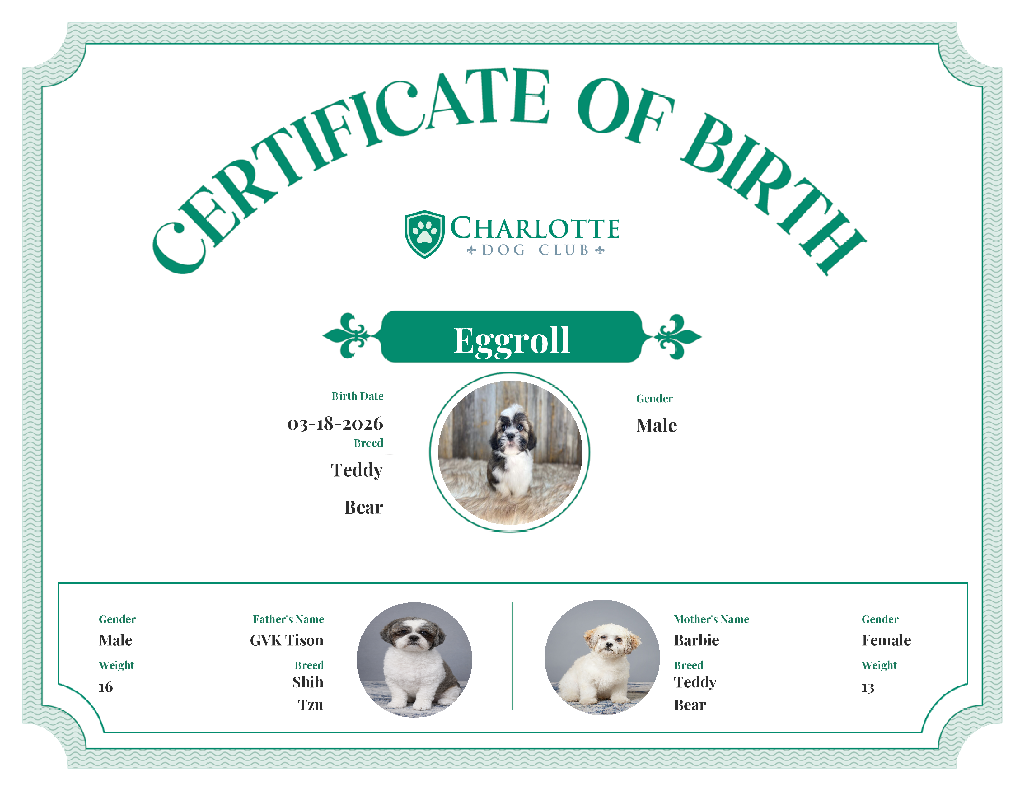 Eggroll's Birth Certificate