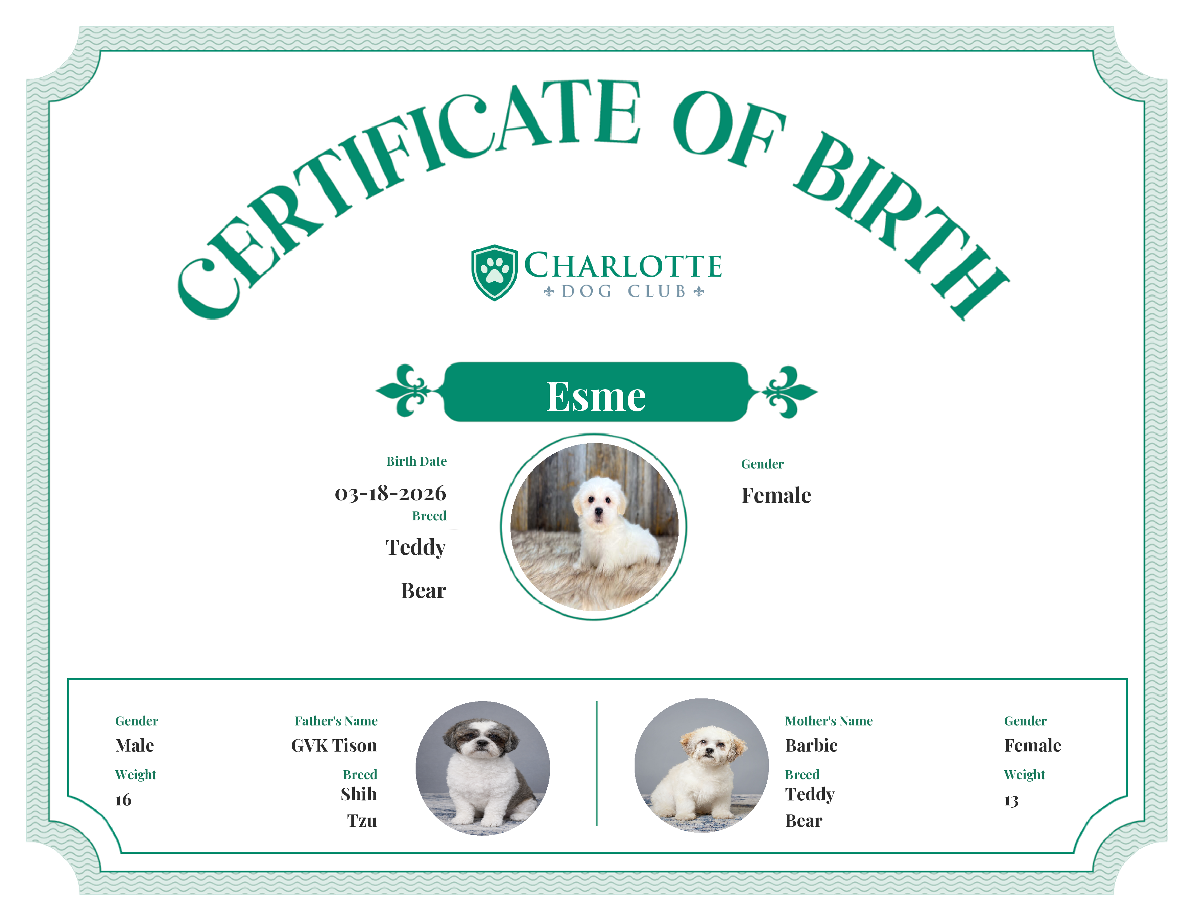 Esme's Birth Certificate