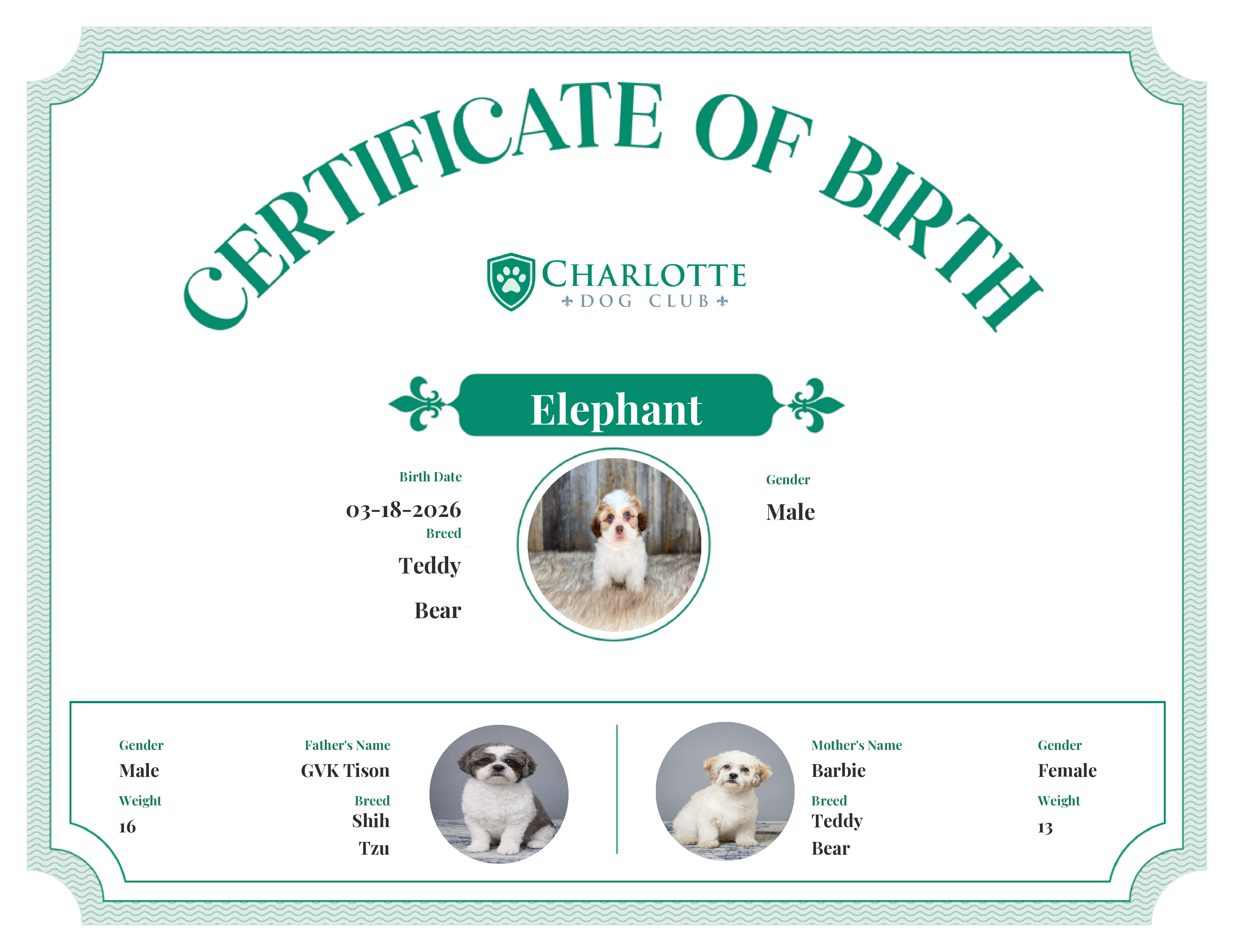 Elephant's Birth Certificate