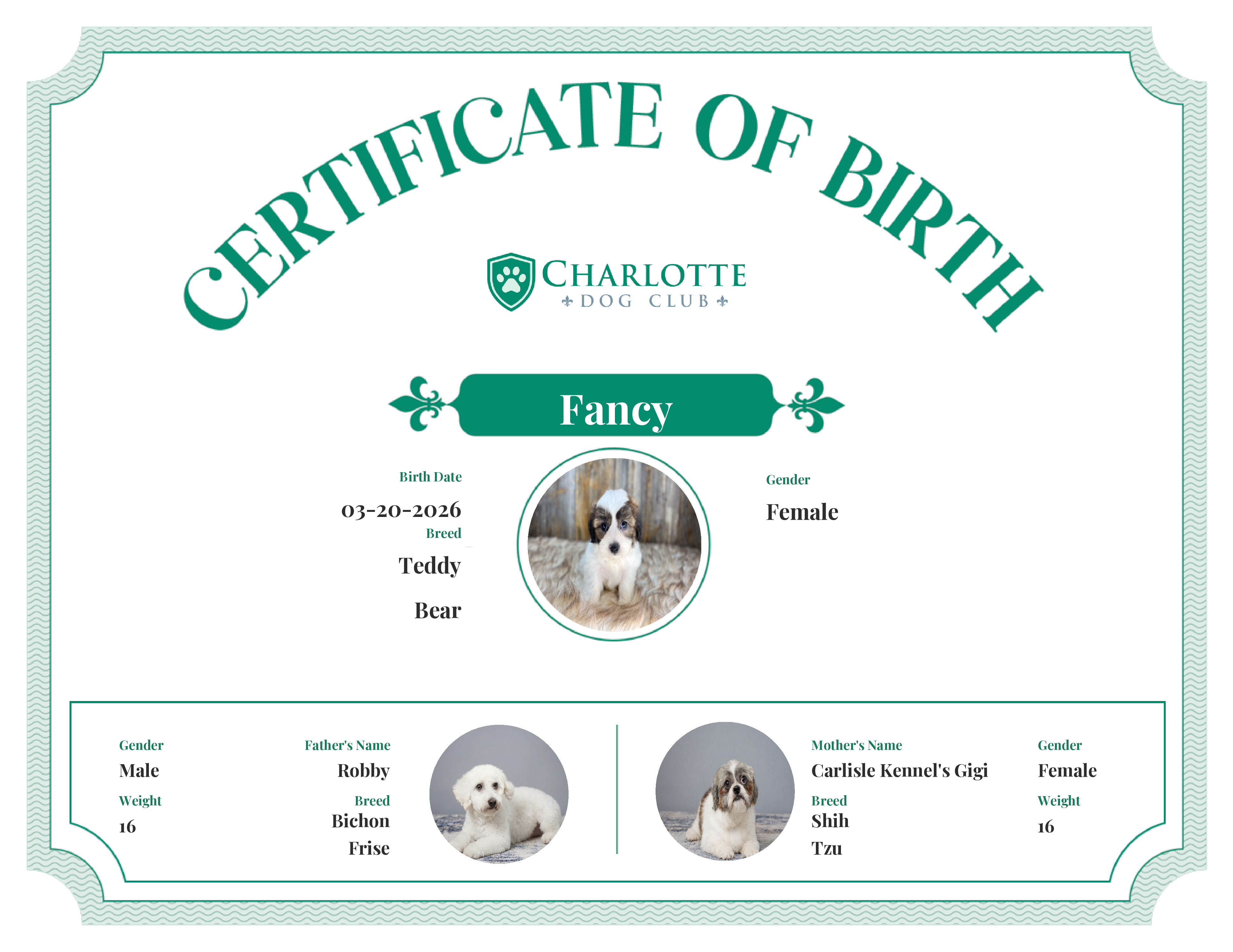 Fancy's Birth Certificate