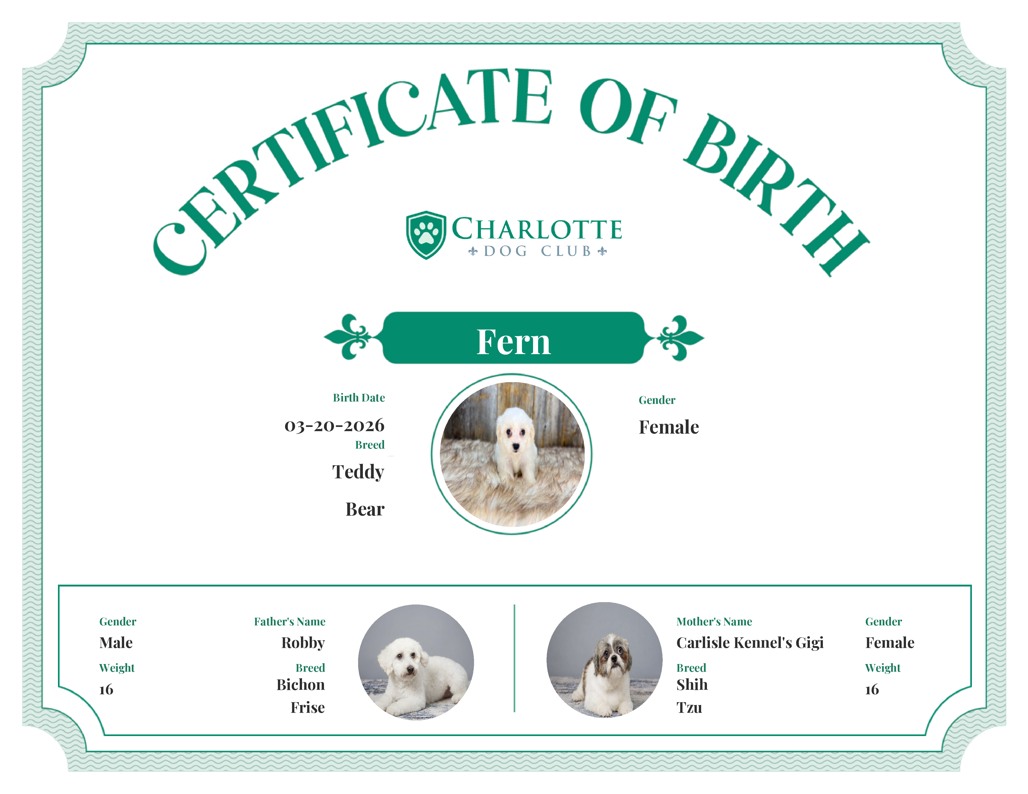 Fern's Birth Certificate