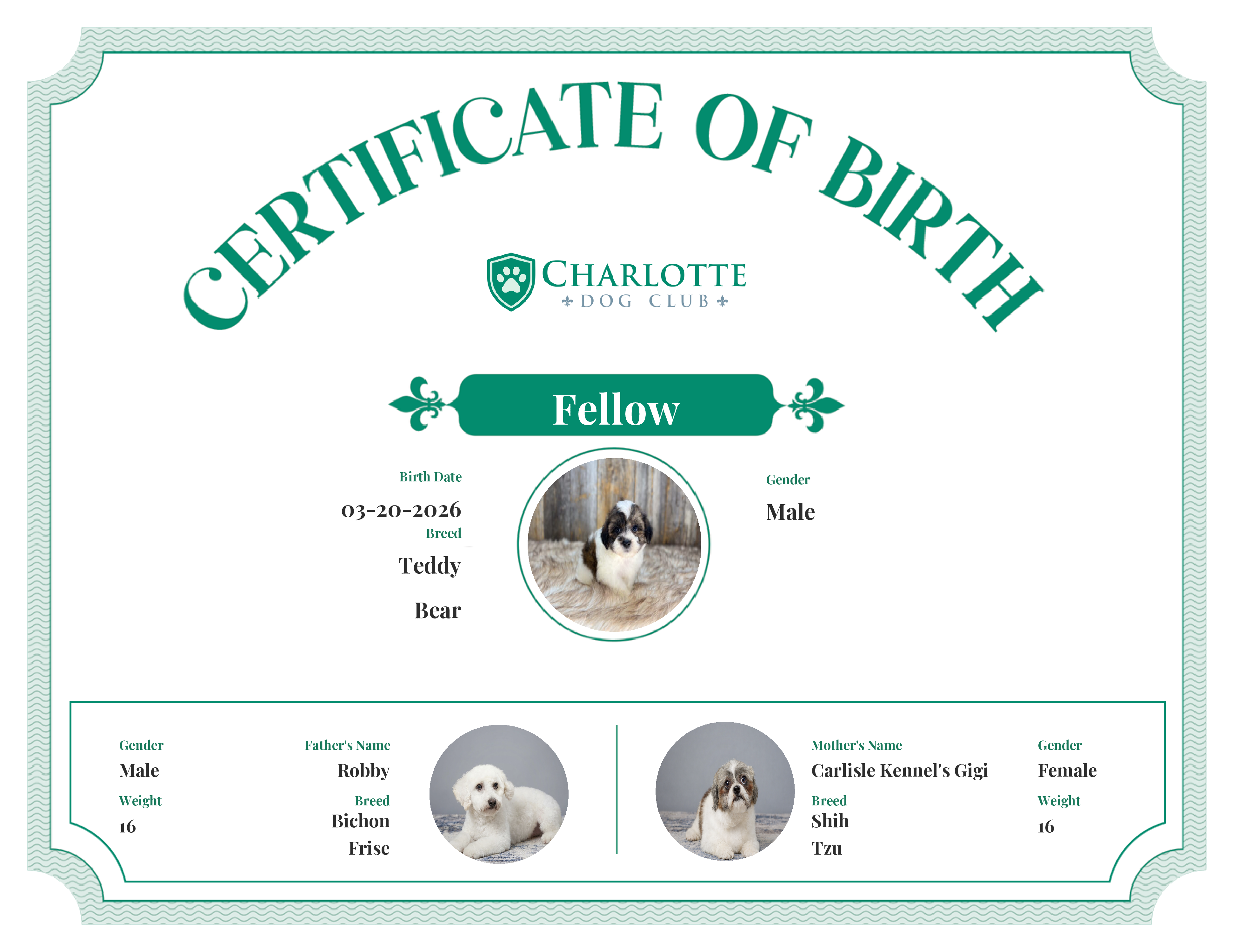 Fellow's Birth Certificate