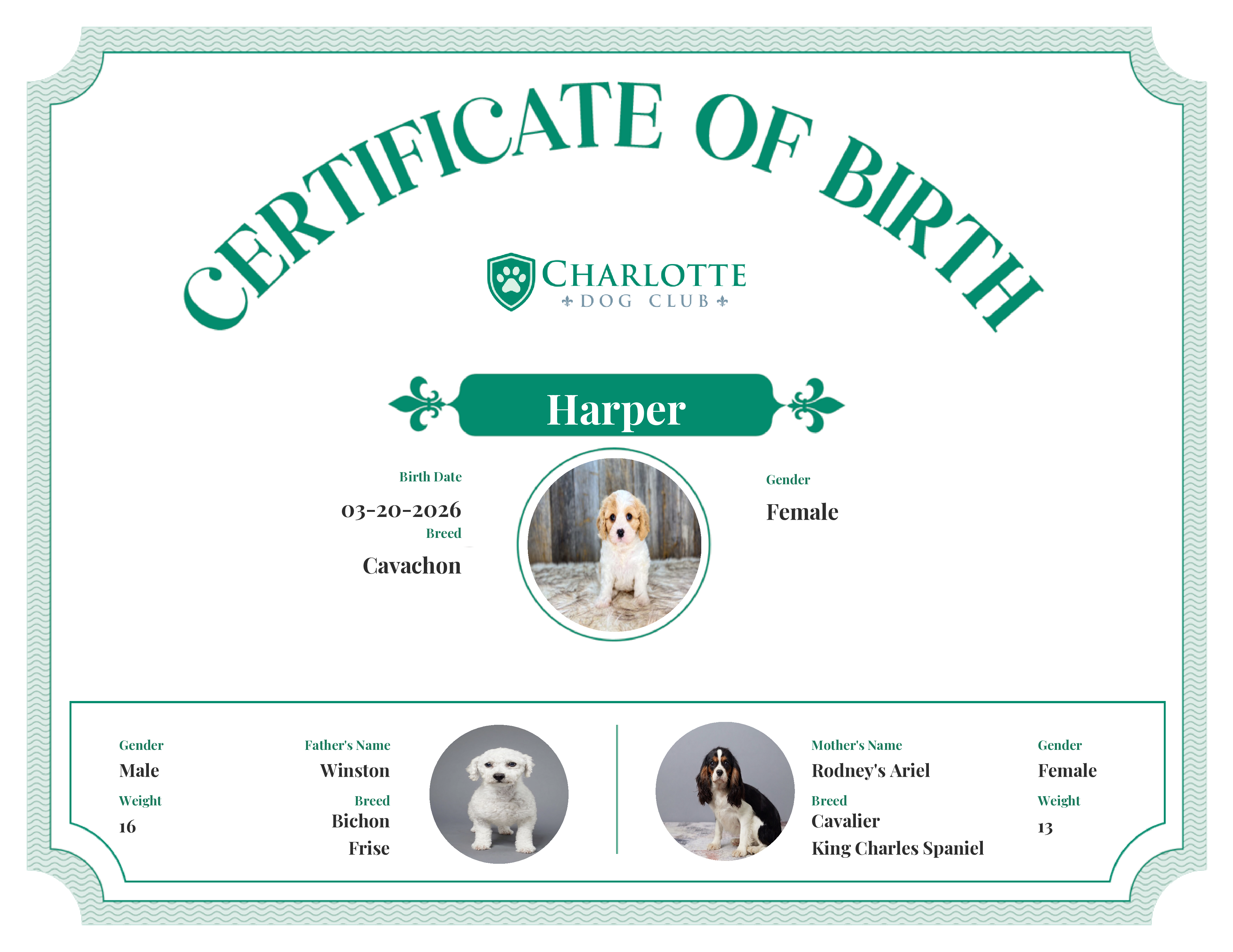 Harper's Birth Certificate