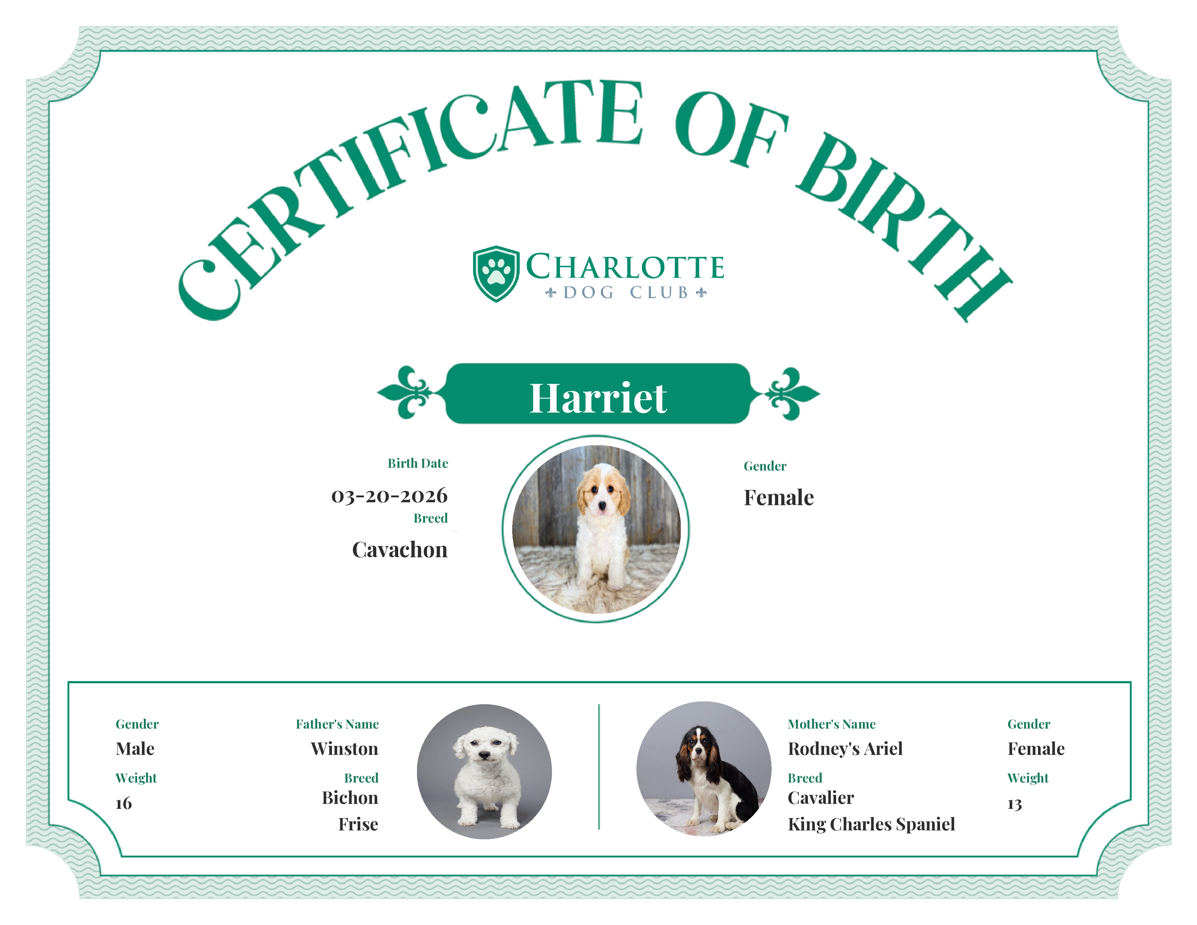 Harriet's Birth Certificate