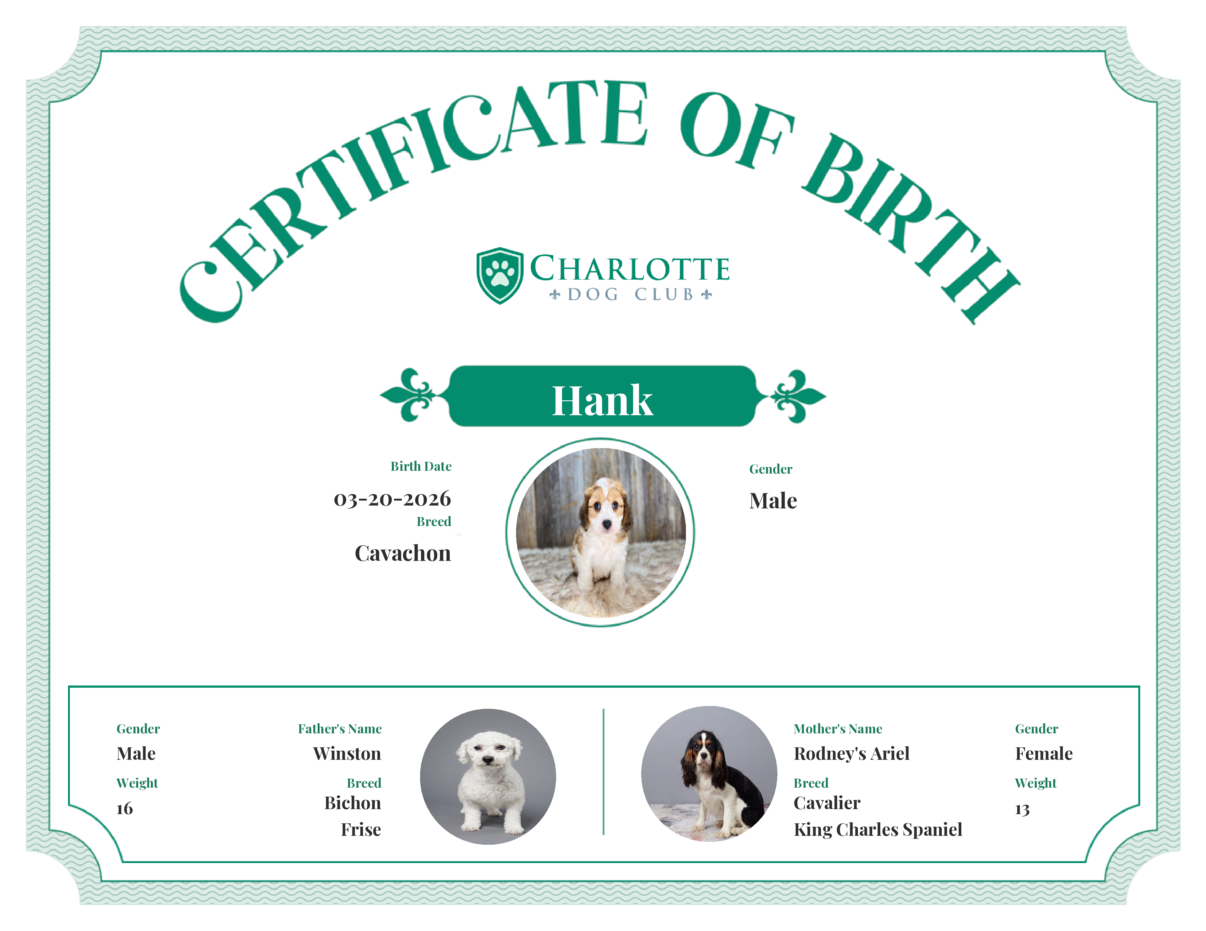 Hank's Birth Certificate