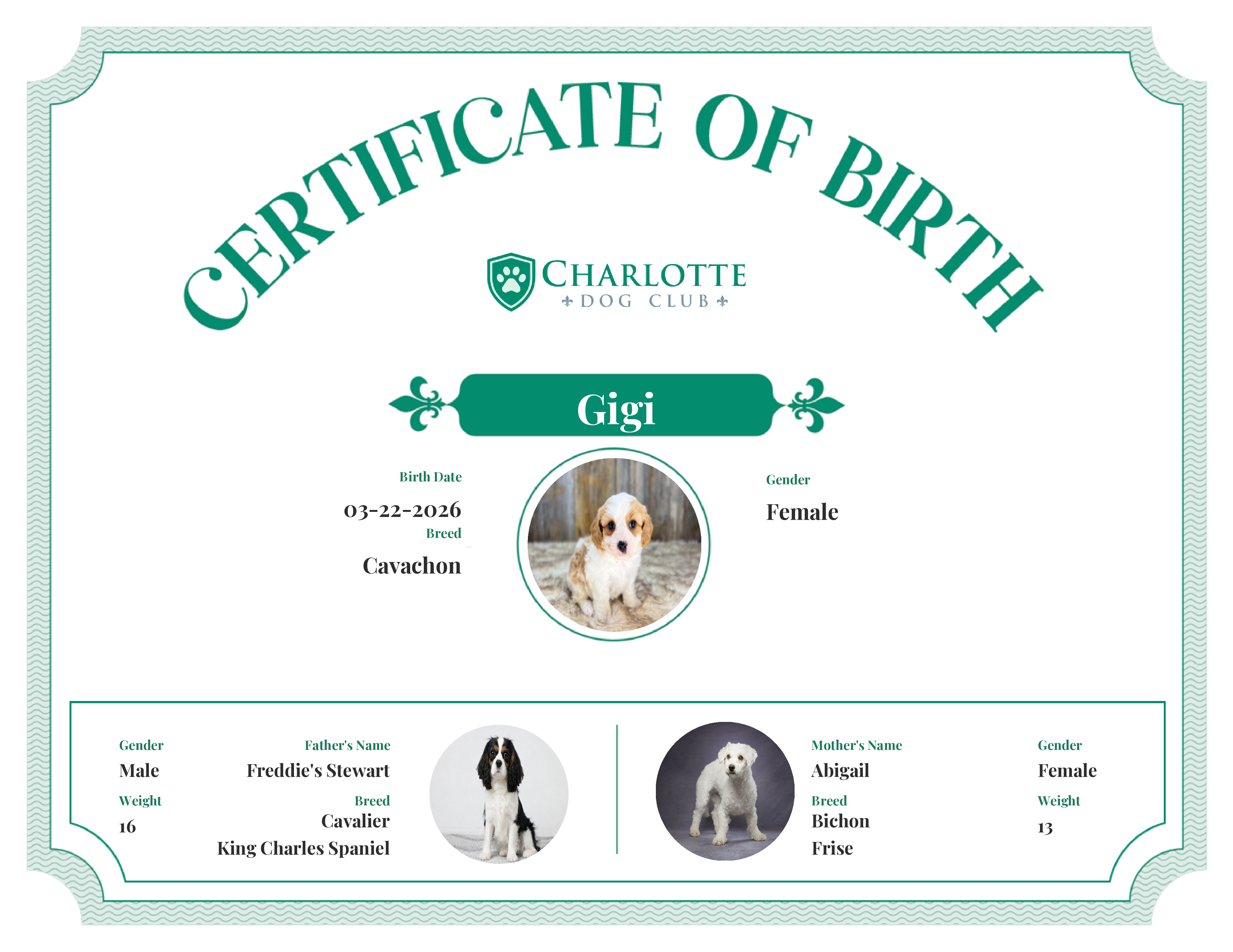 Gigi's Birth Certificate