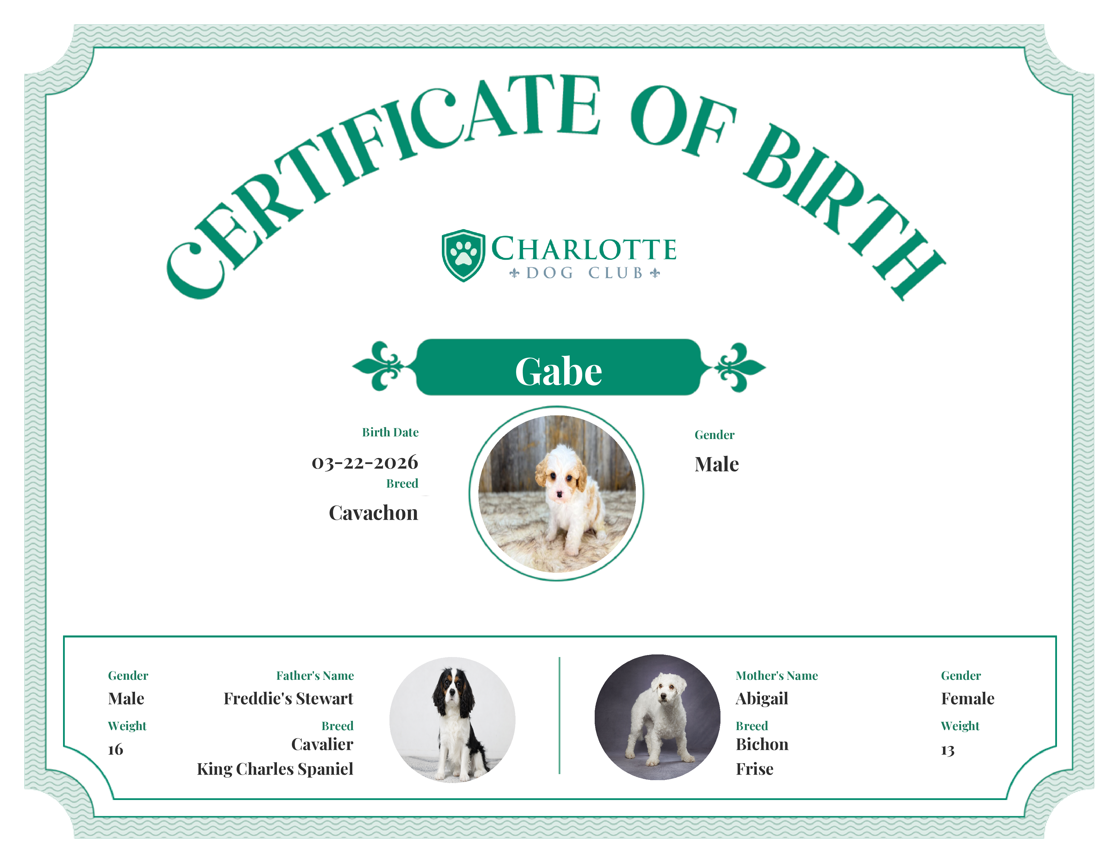 Gabe's Birth Certificate