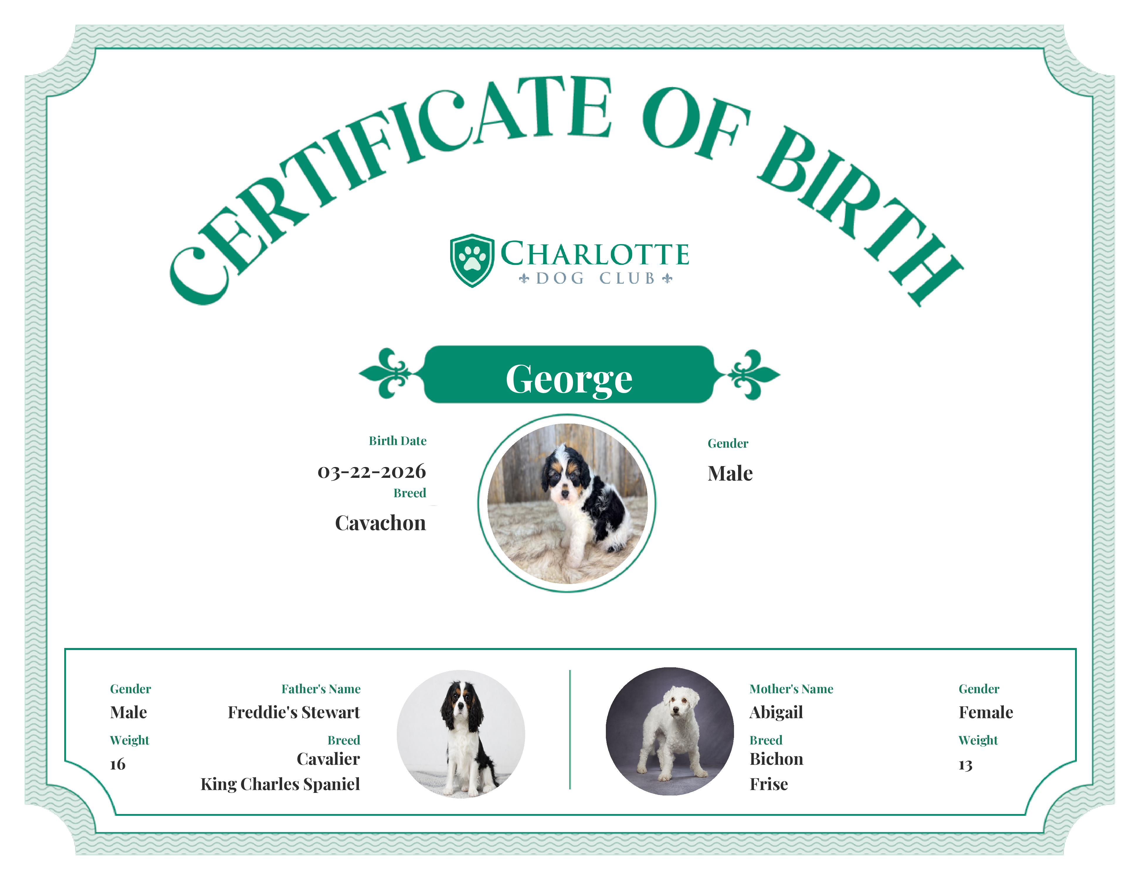 George's Birth Certificate