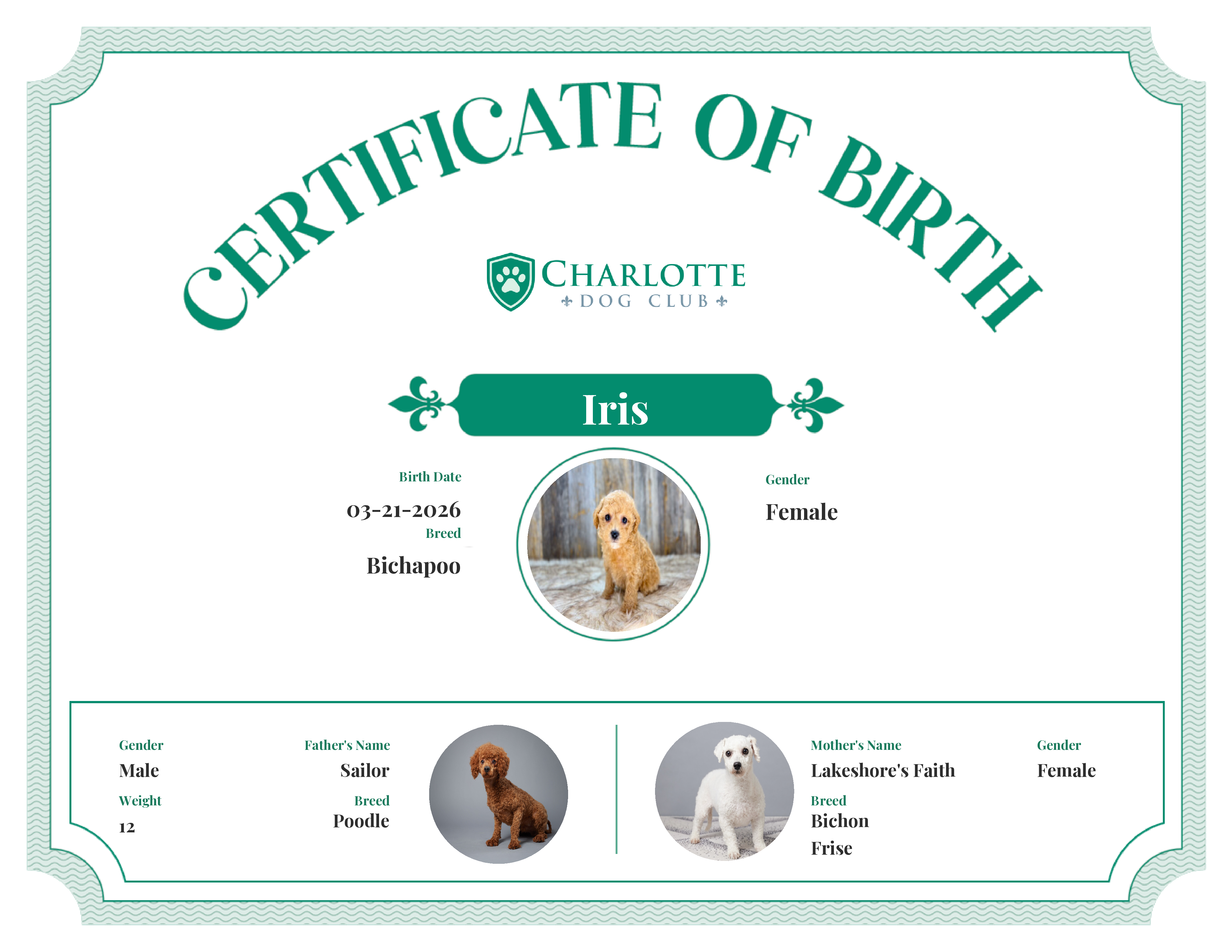 Iris's Birth Certificate