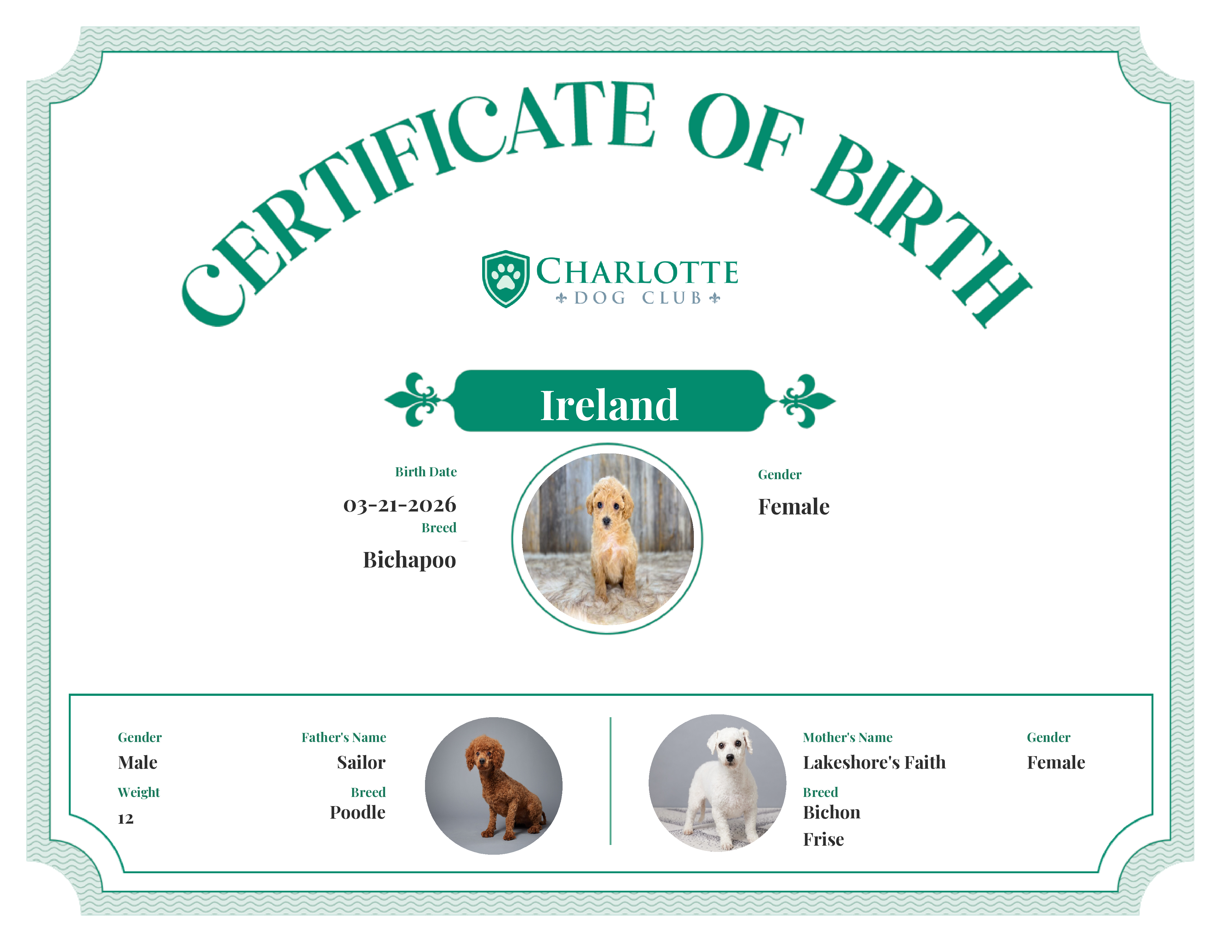 Ireland's Birth Certificate