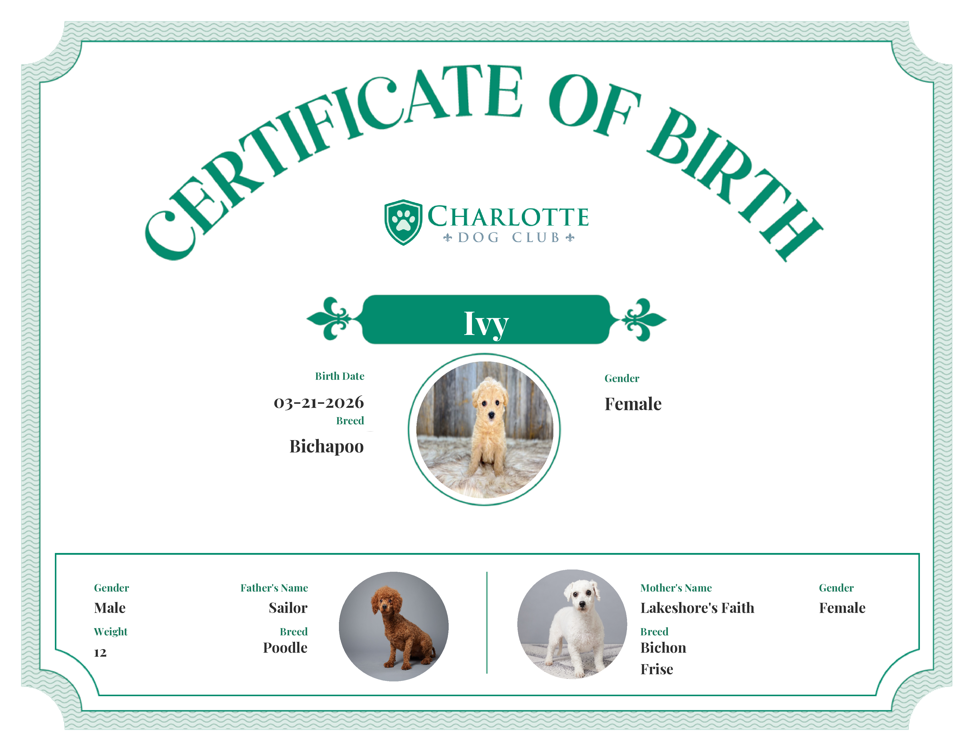 Ivy's Birth Certificate