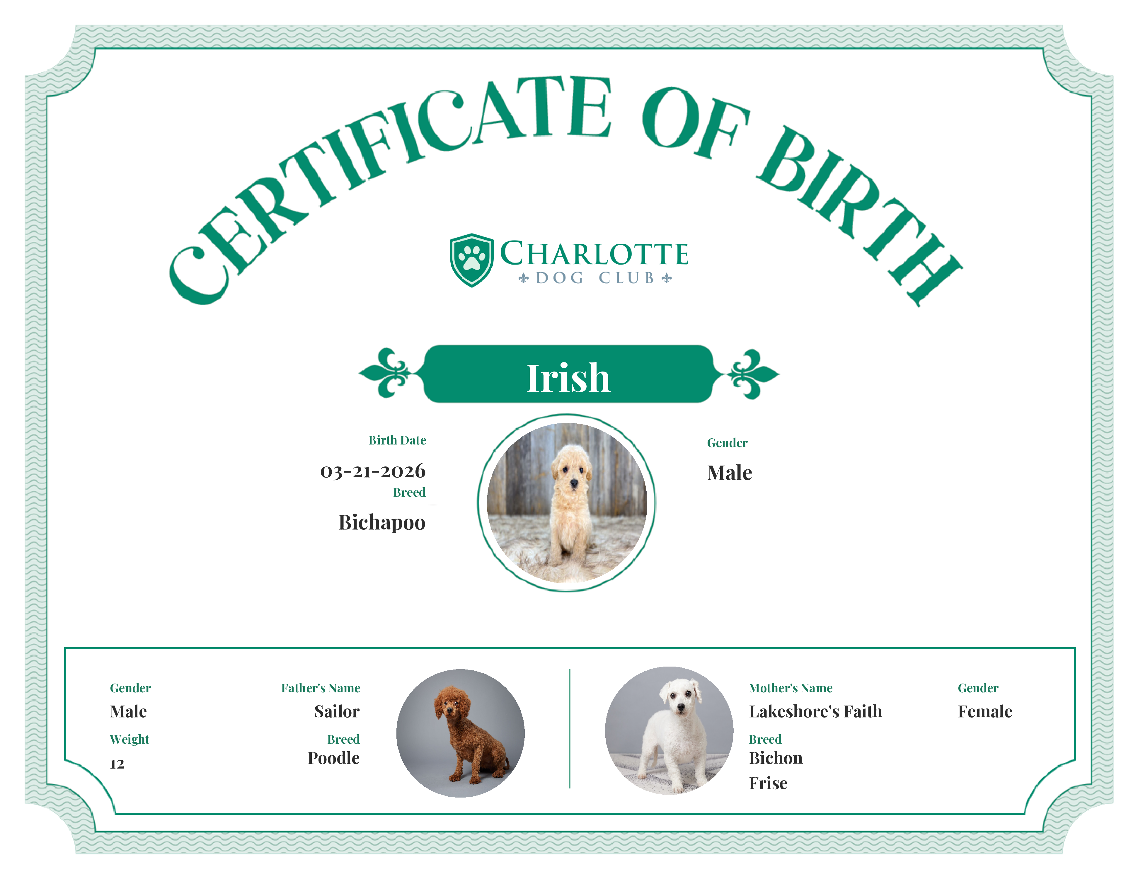 Irish's Birth Certificate
