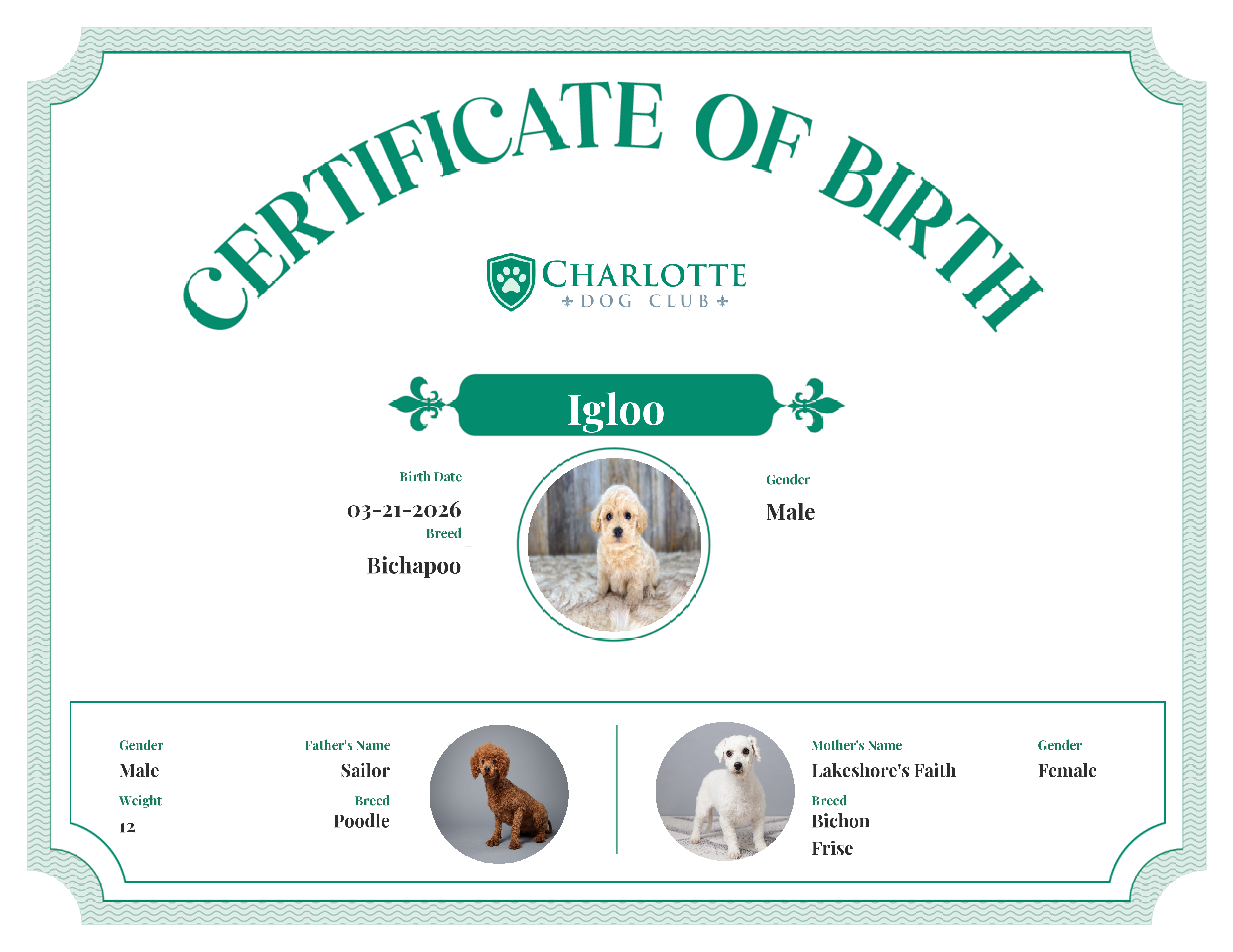 Igloo's Birth Certificate