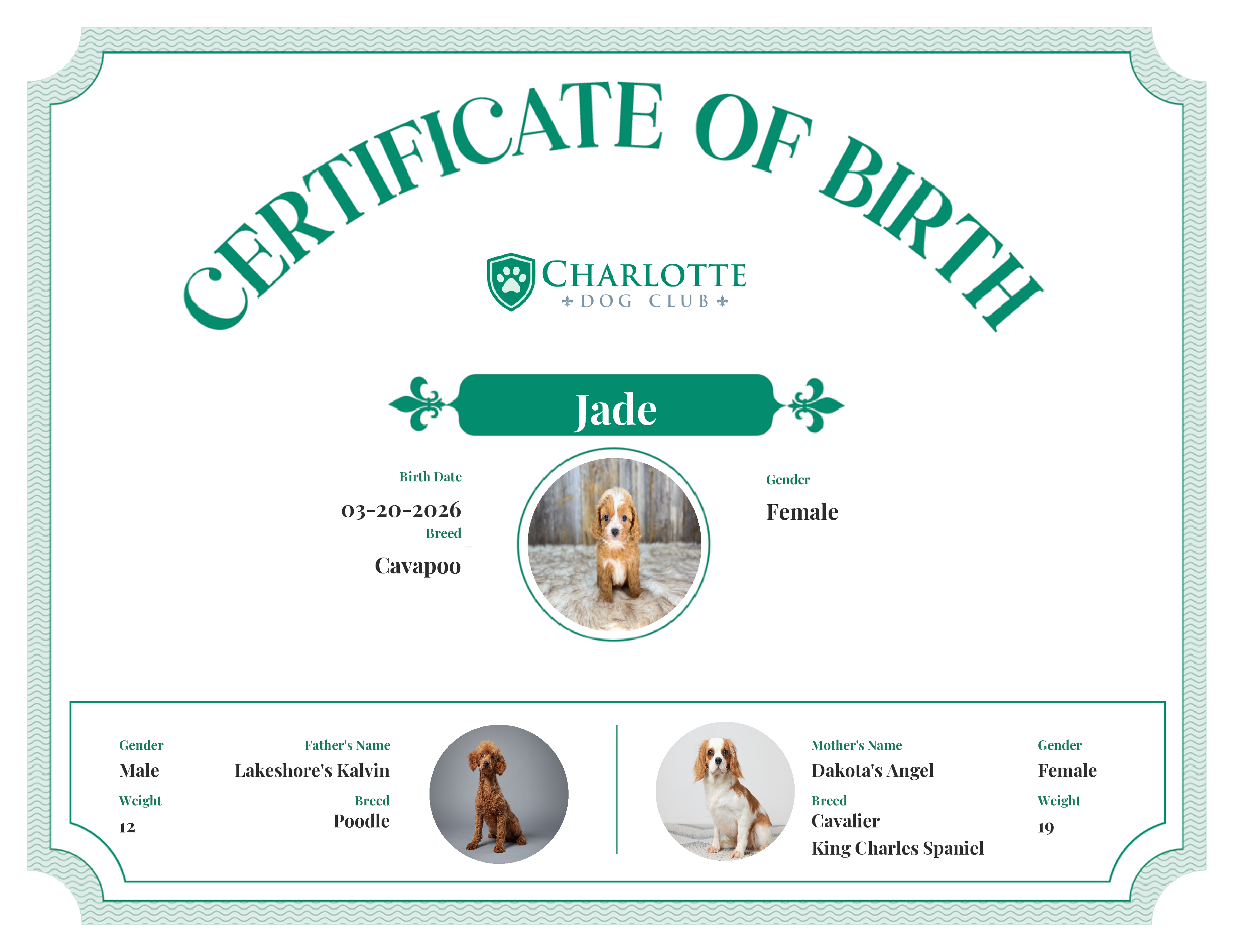 Jade's Birth Certificate