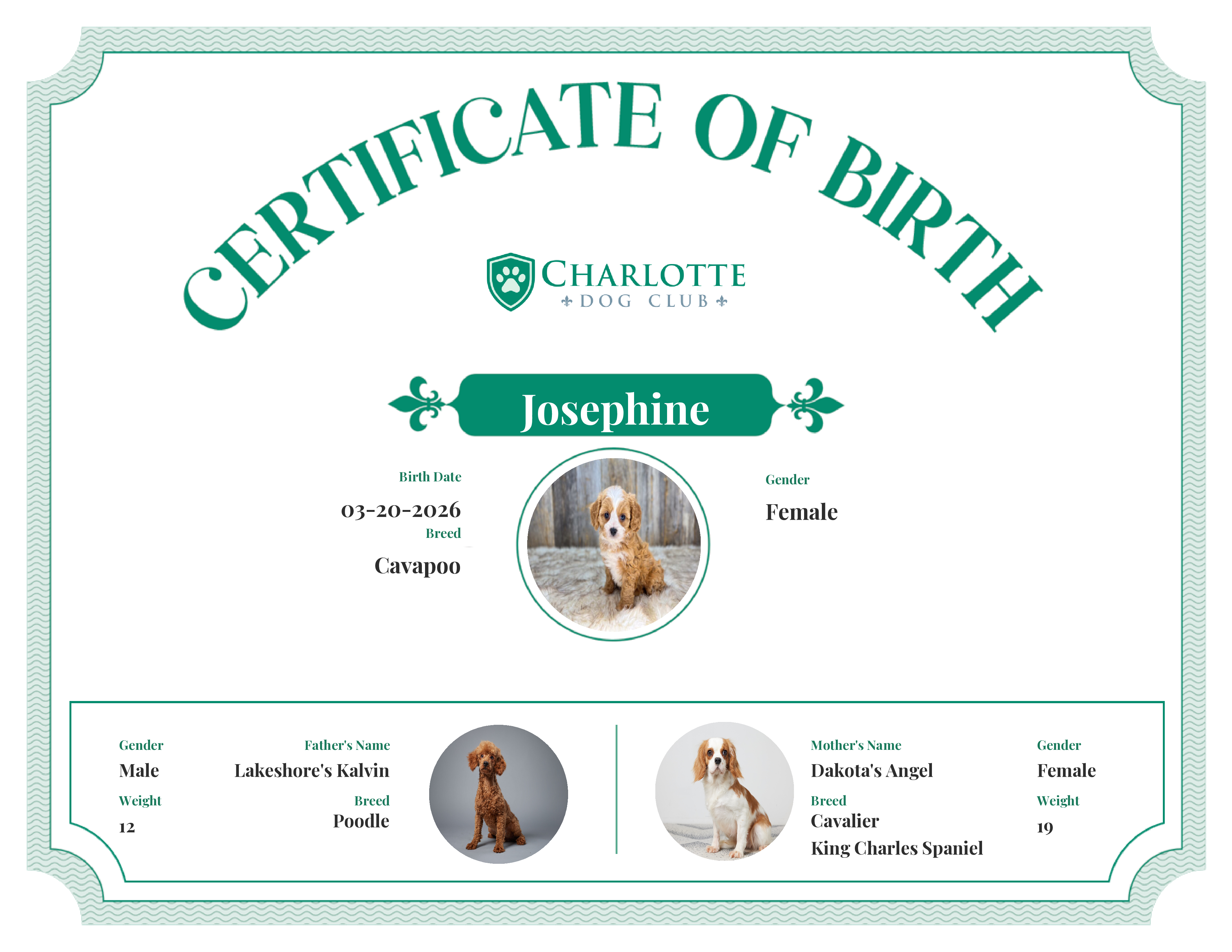 Josephine's Birth Certificate