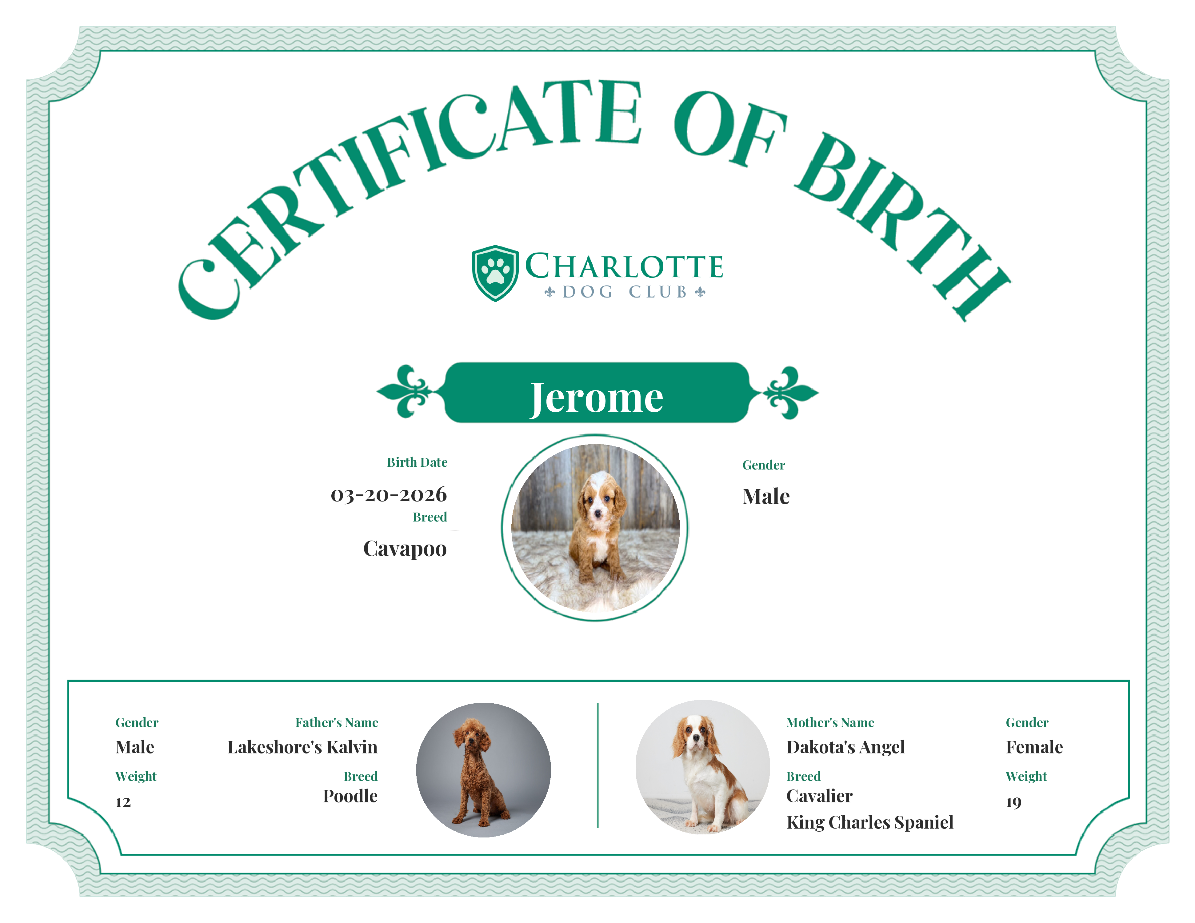 Jerome's Birth Certificate