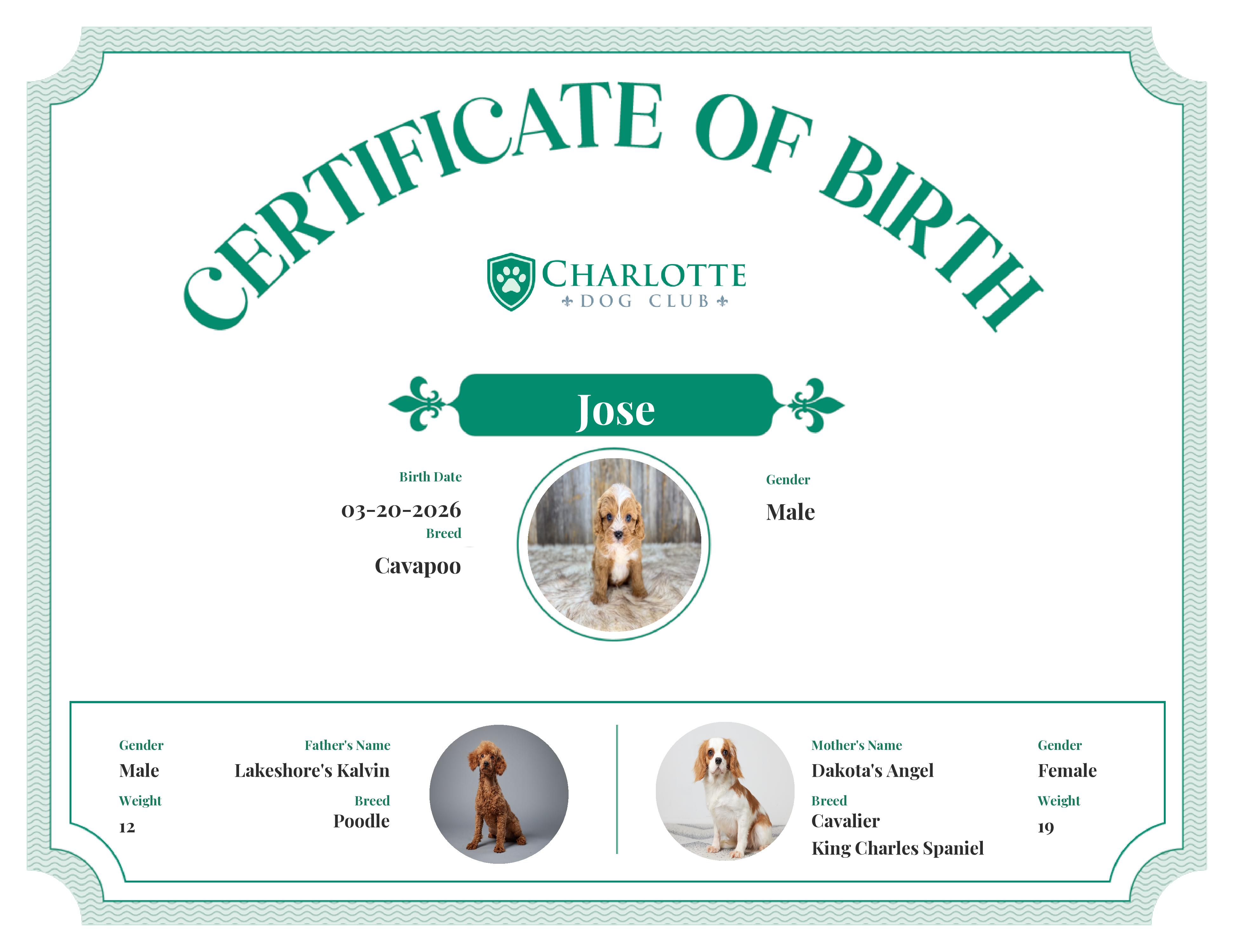 Jose's Birth Certificate