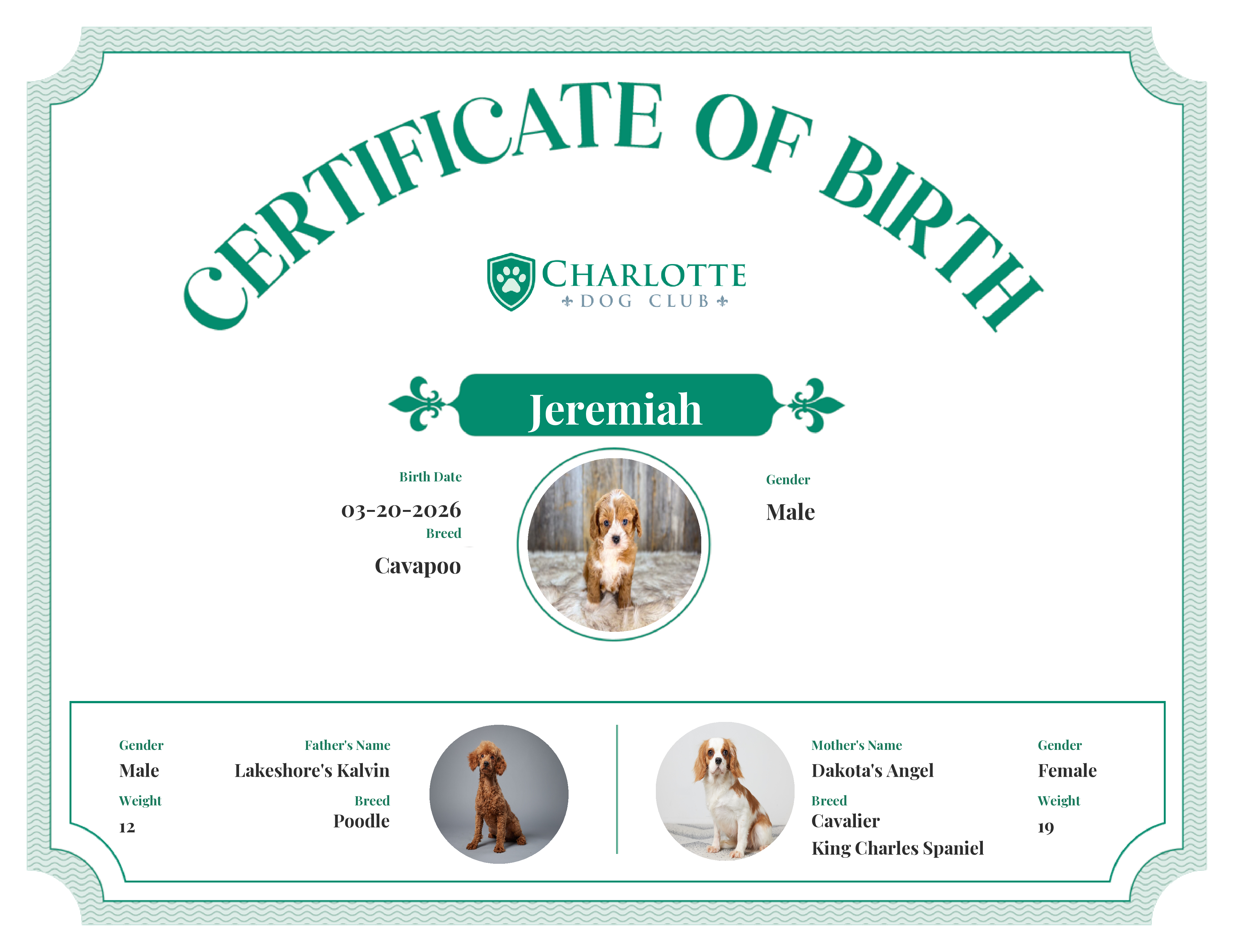 Jeremiah's Birth Certificate