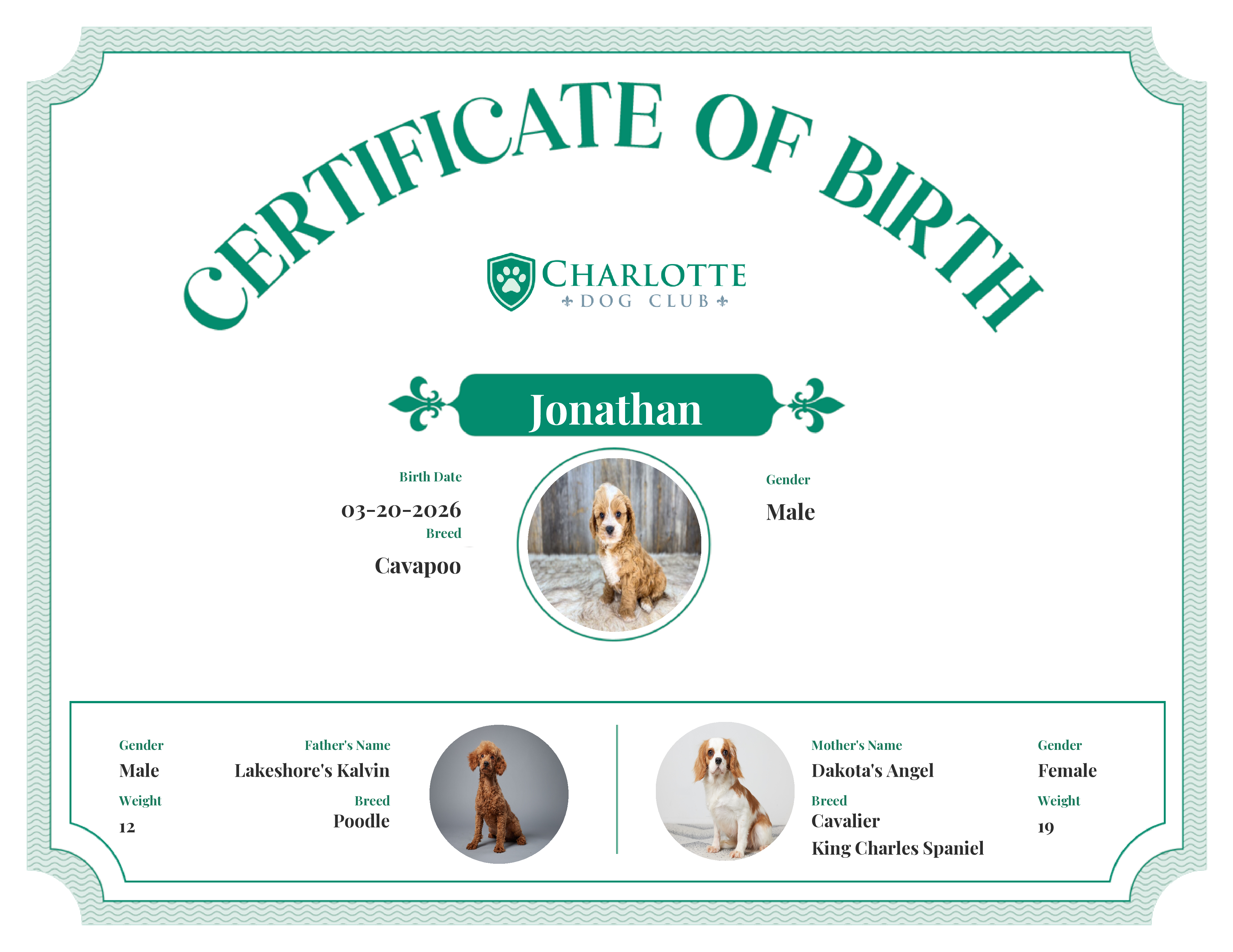 Jonathan's Birth Certificate