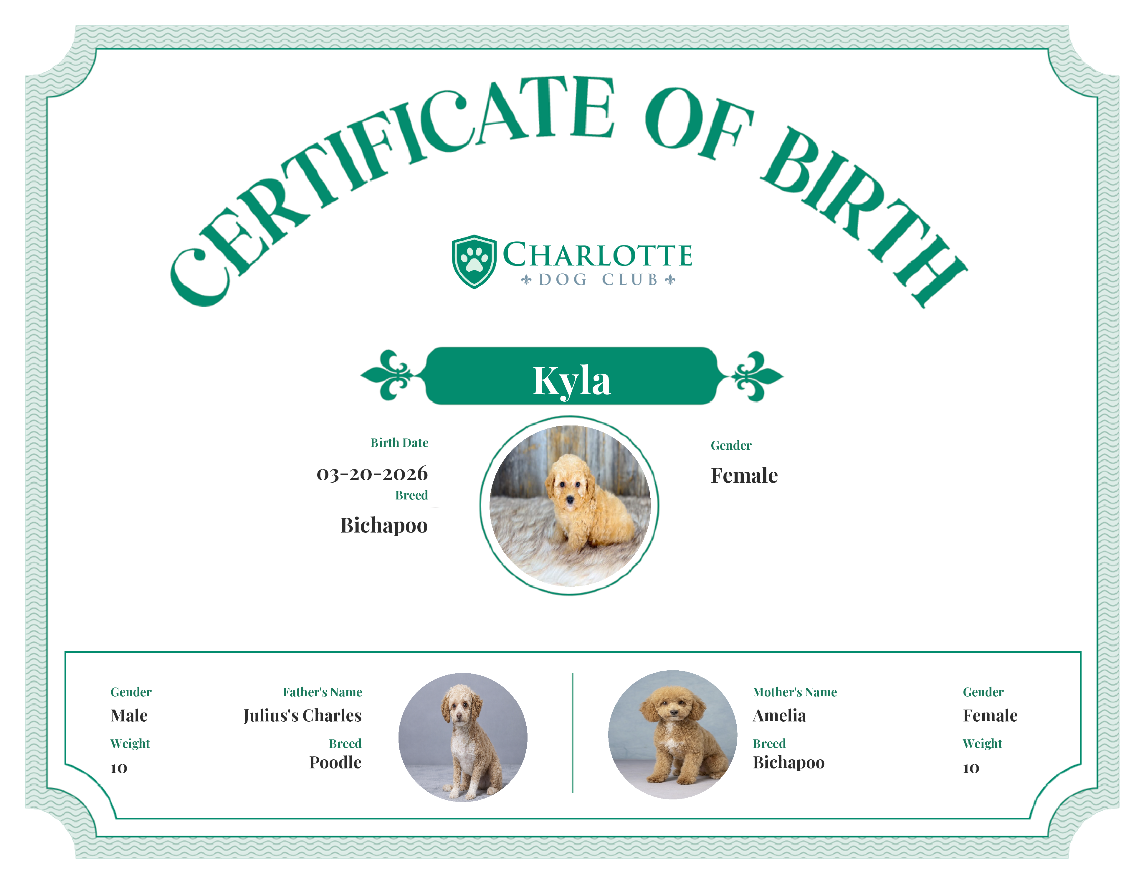 Kyla's Birth Certificate