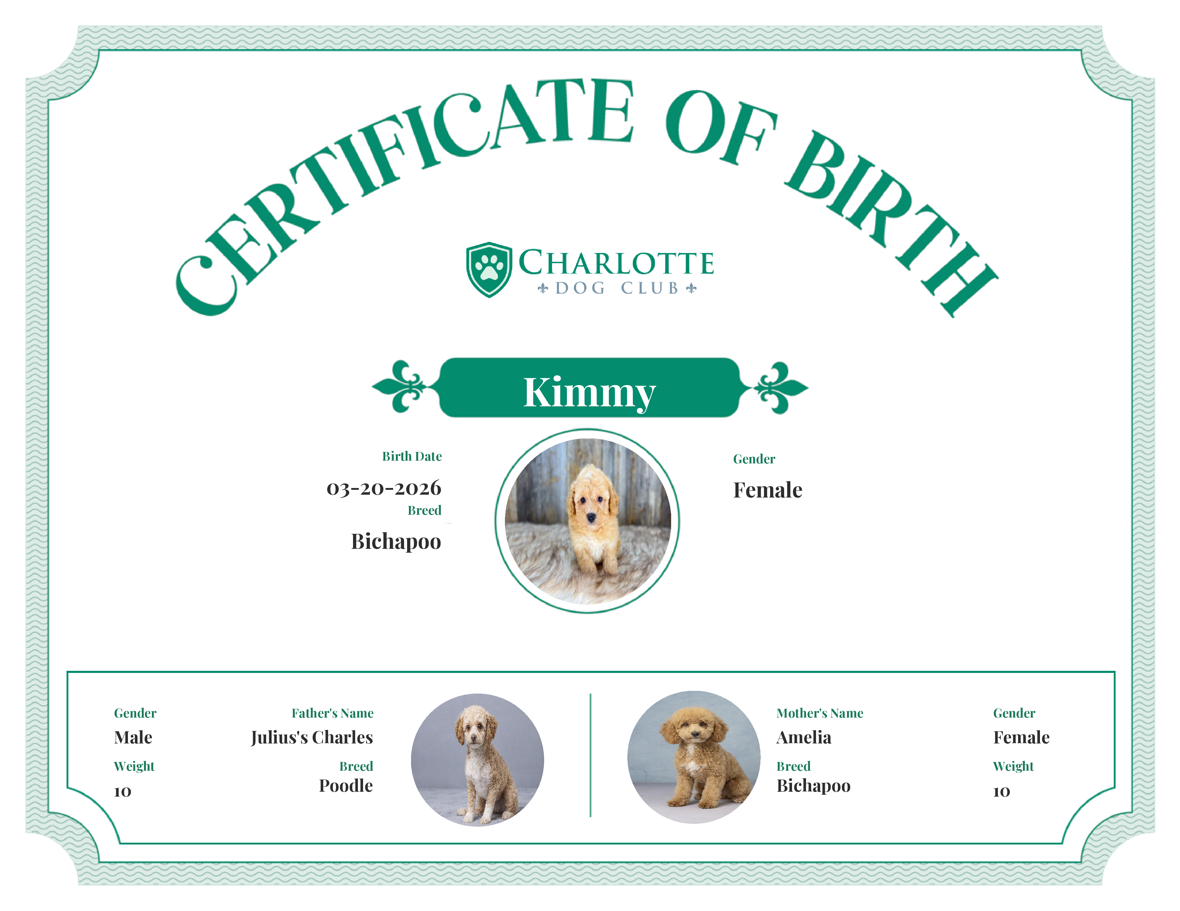 Kimmy's Birth Certificate
