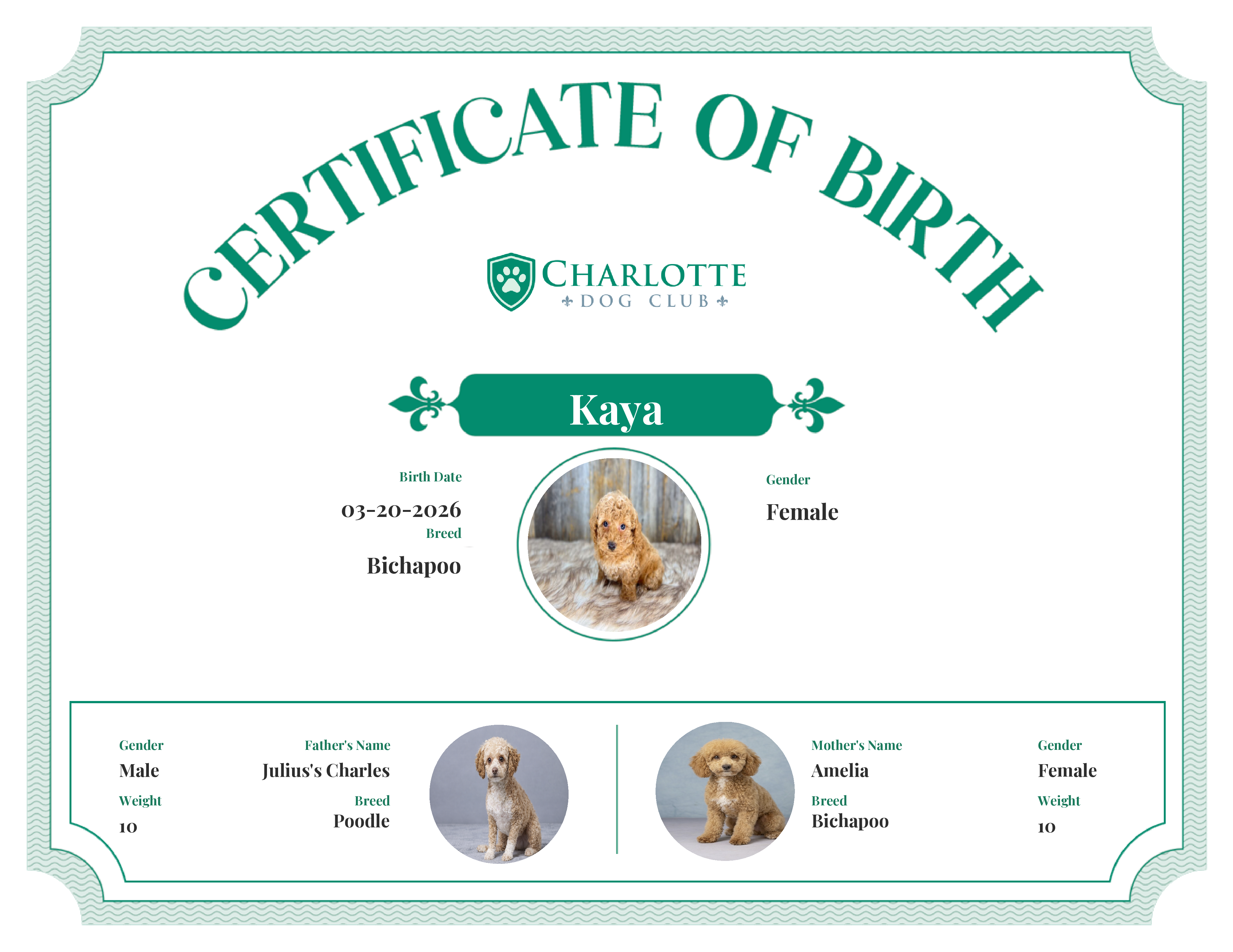 Kaya's Birth Certificate