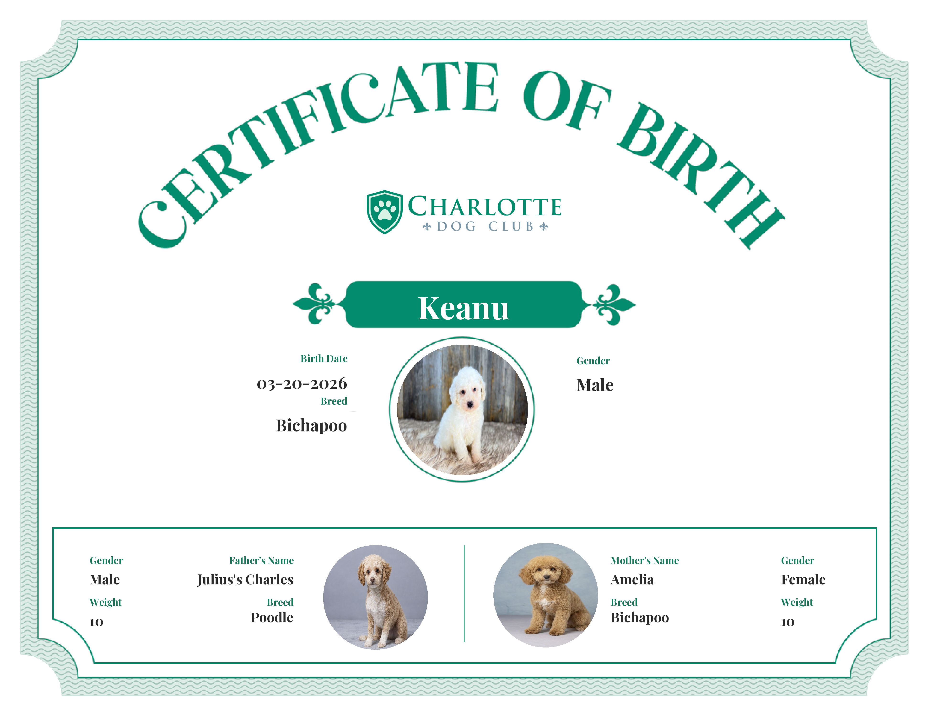 Keanu's Birth Certificate