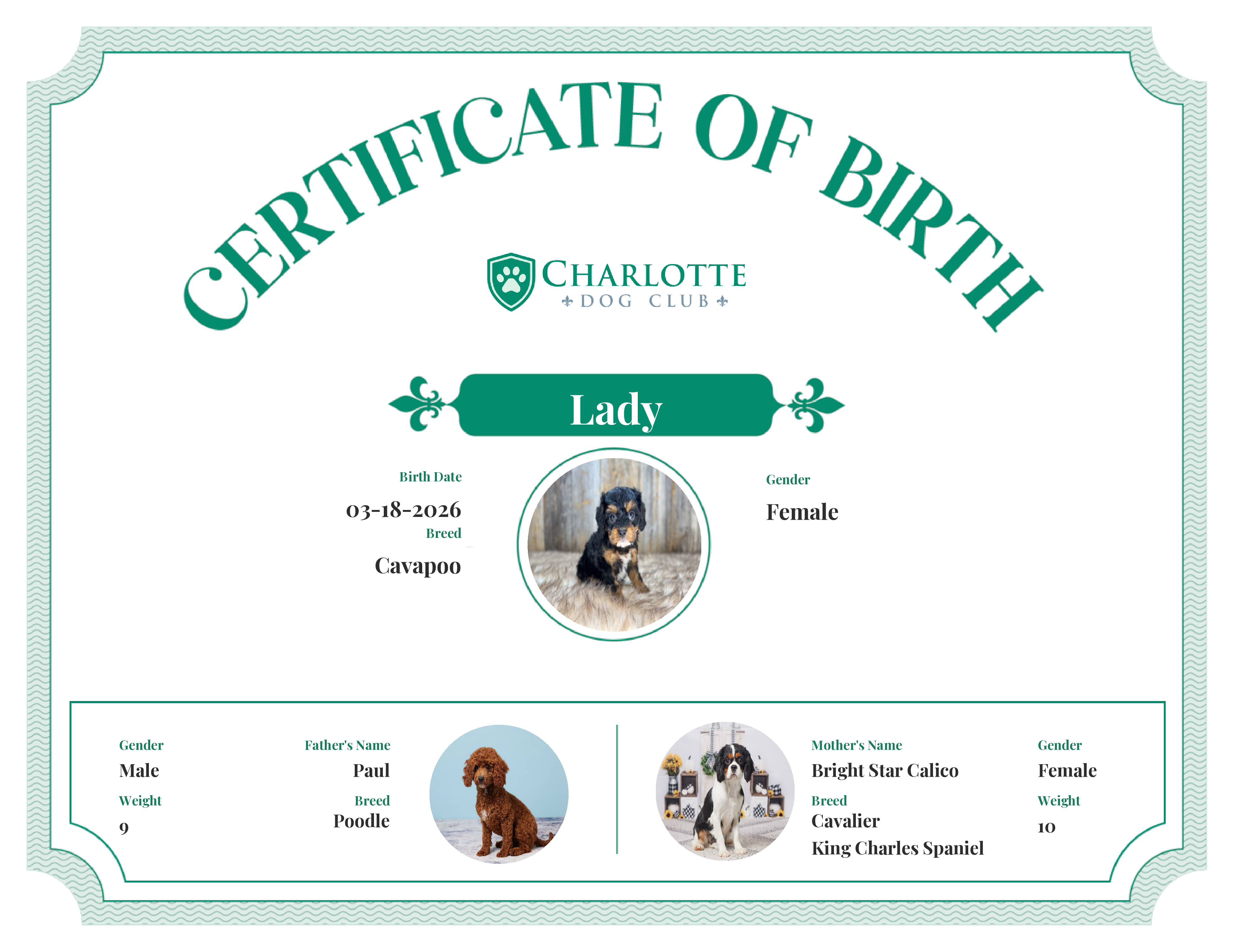 Lady's Birth Certificate