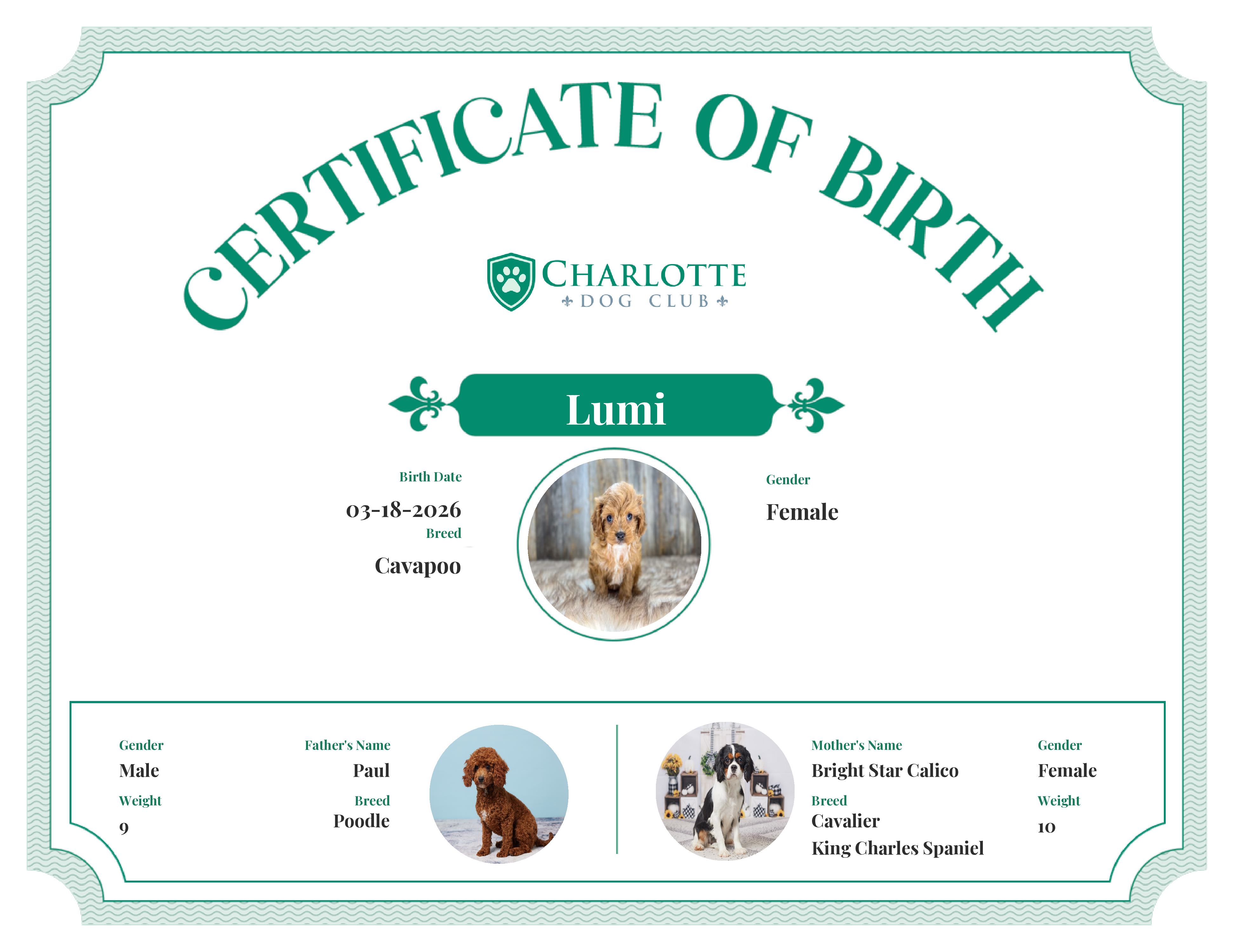Lumi's Birth Certificate