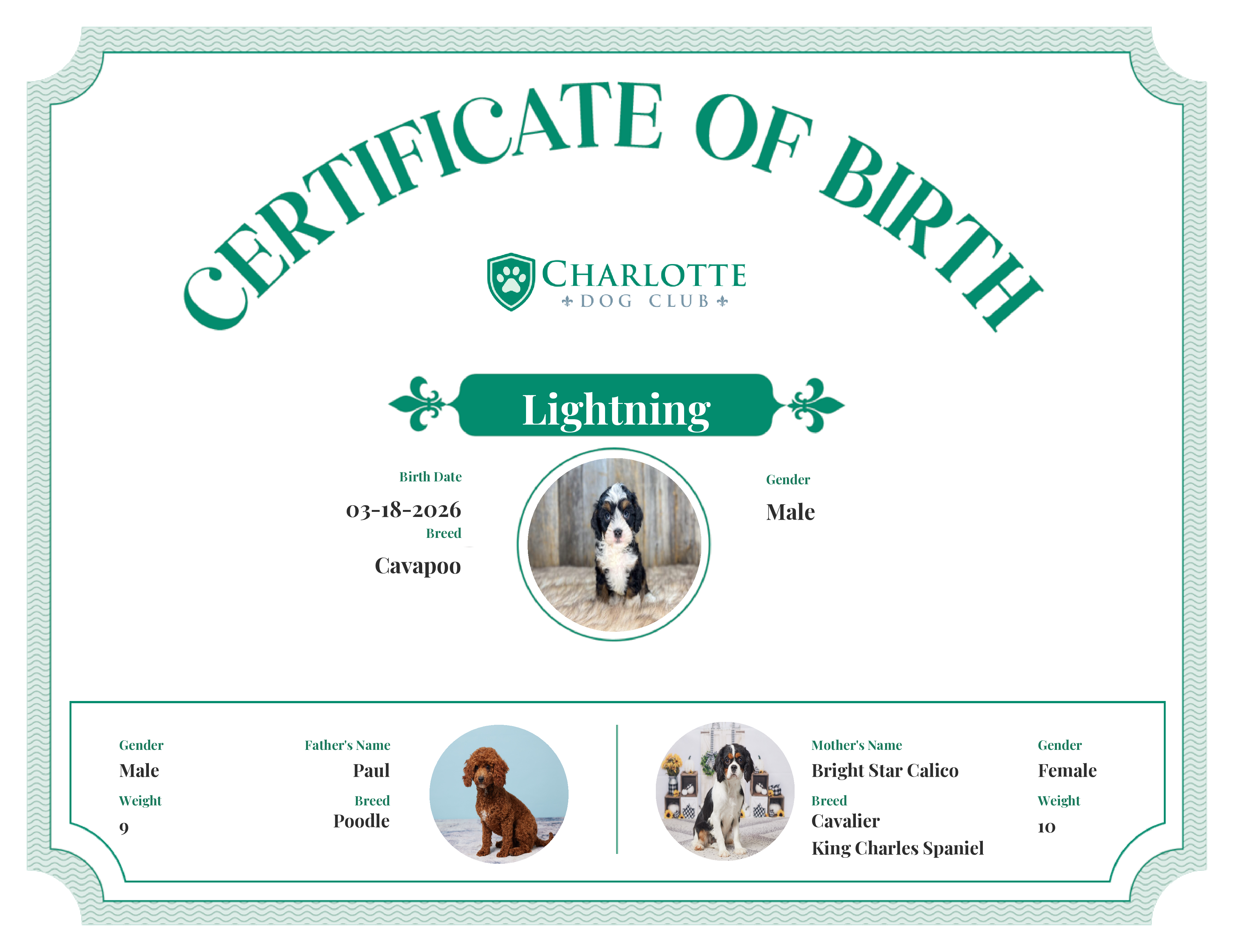 Lightning's Birth Certificate