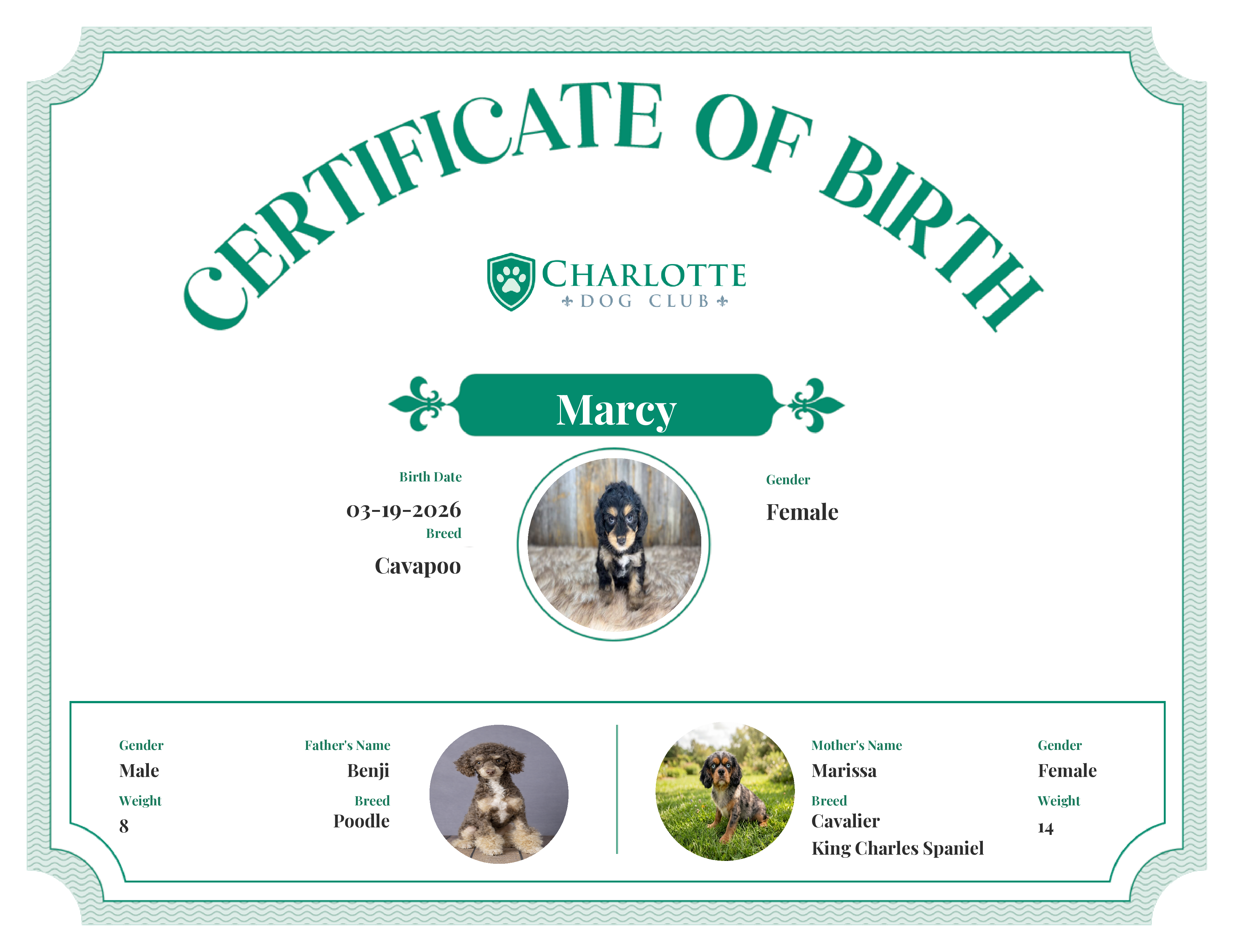 Marcy's Birth Certificate