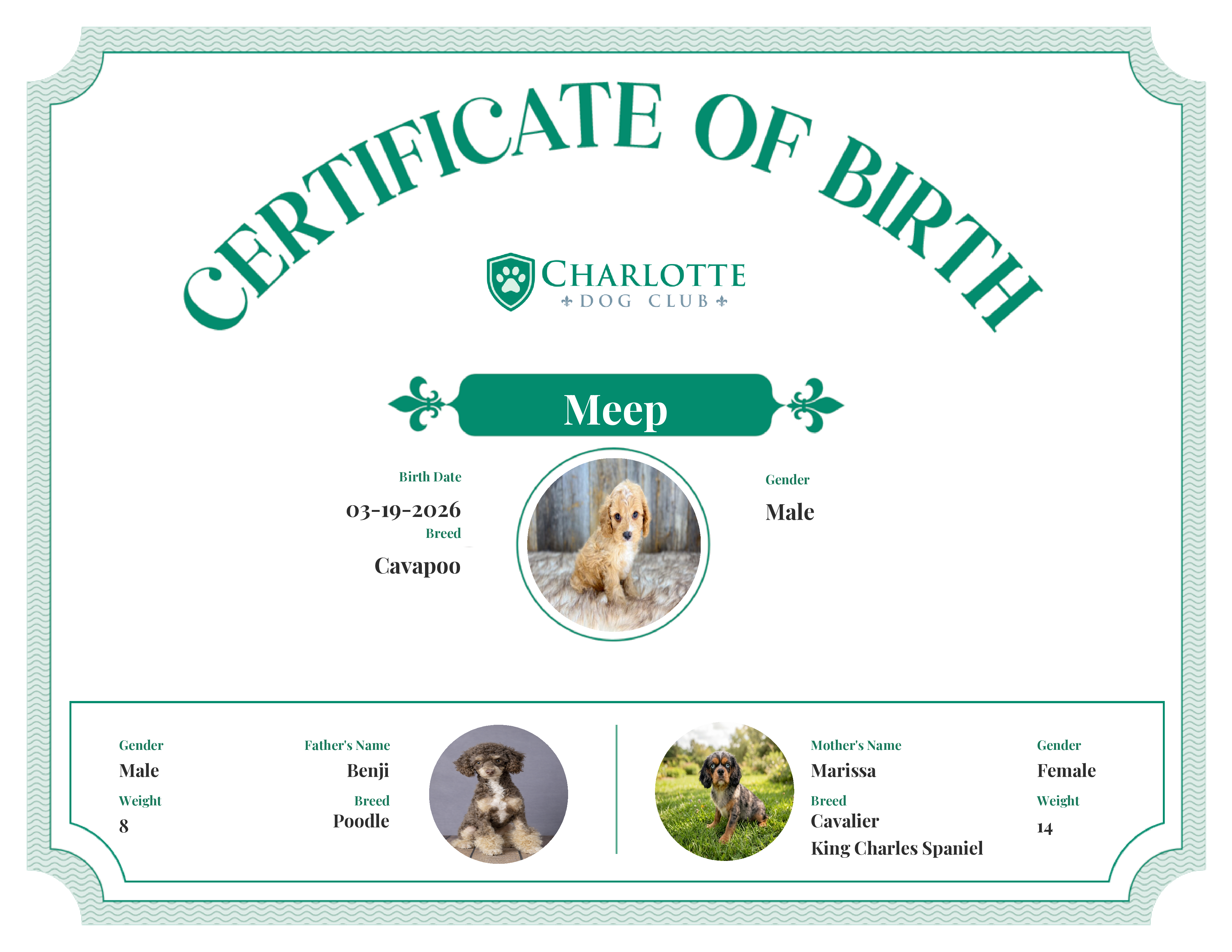 Meep's Birth Certificate