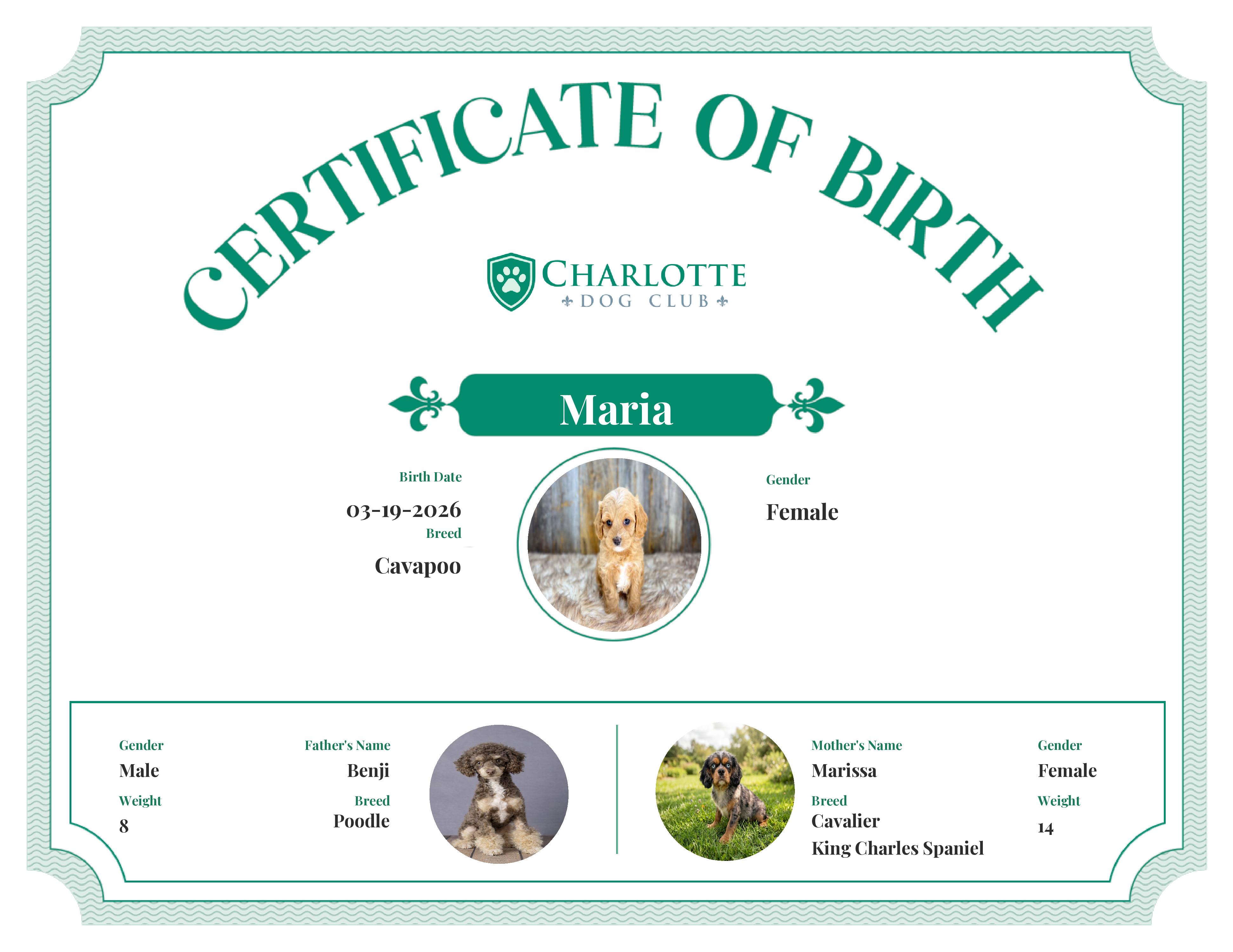 Maria's Birth Certificate