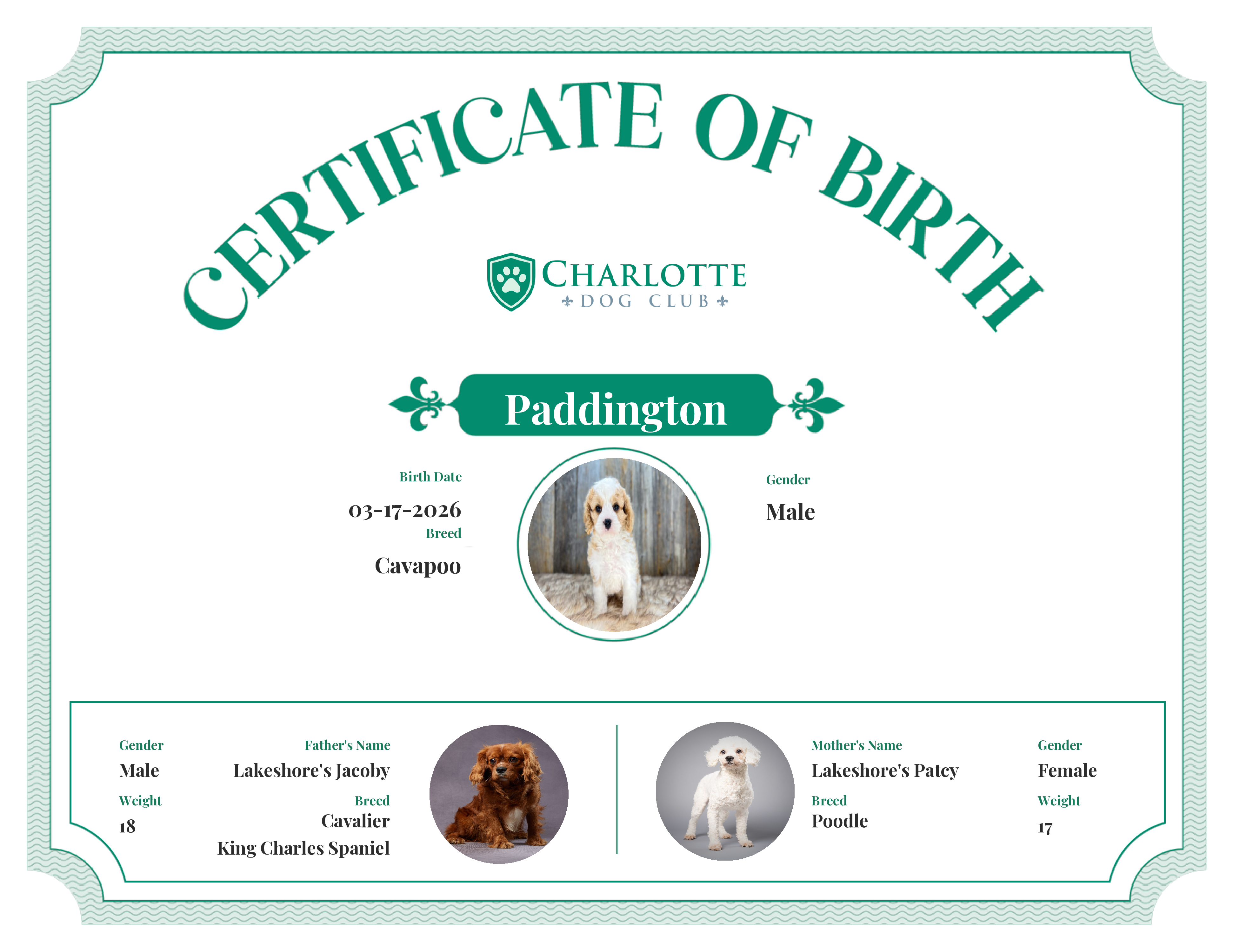 Paddington's Birth Certificate