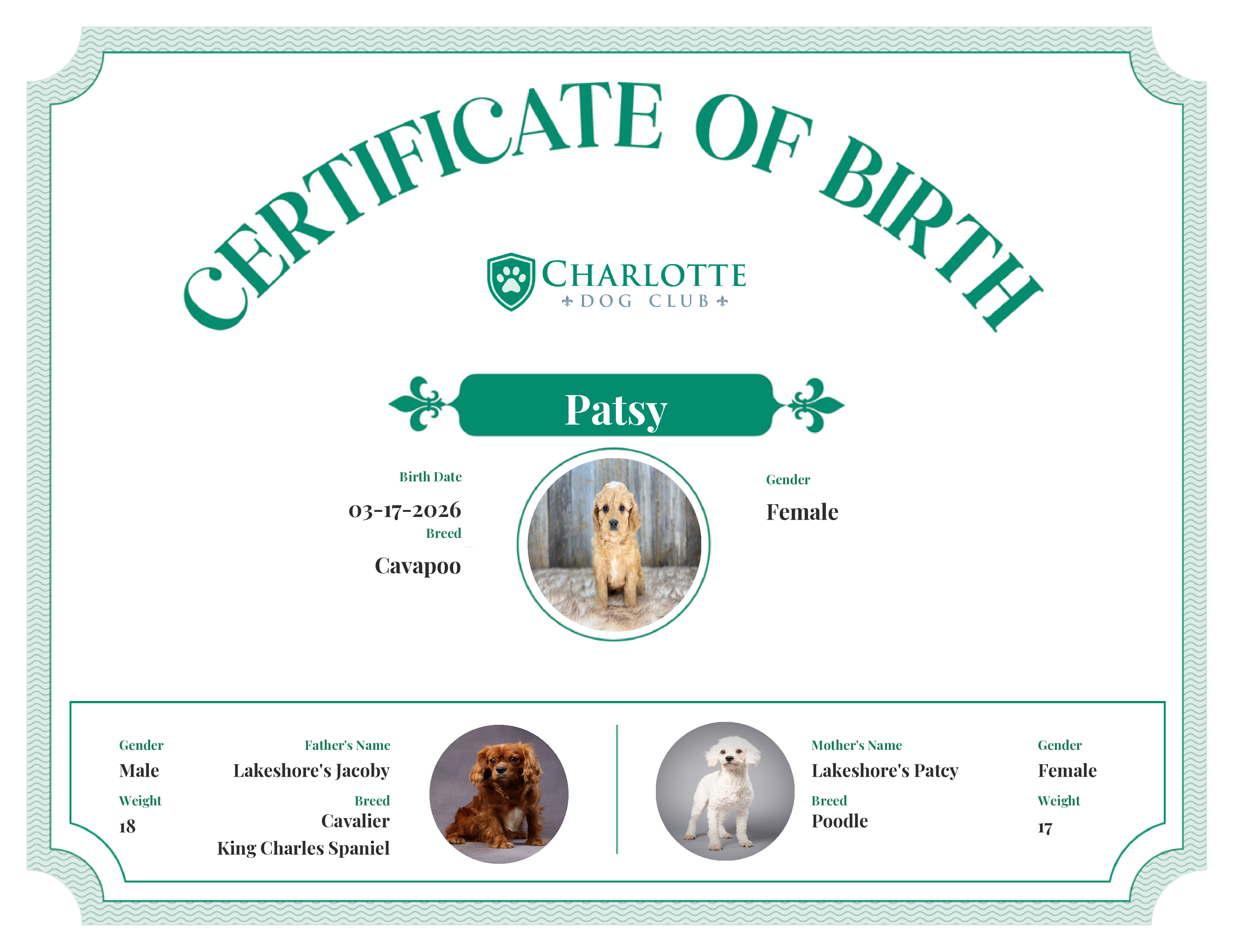 Patsy's Birth Certificate