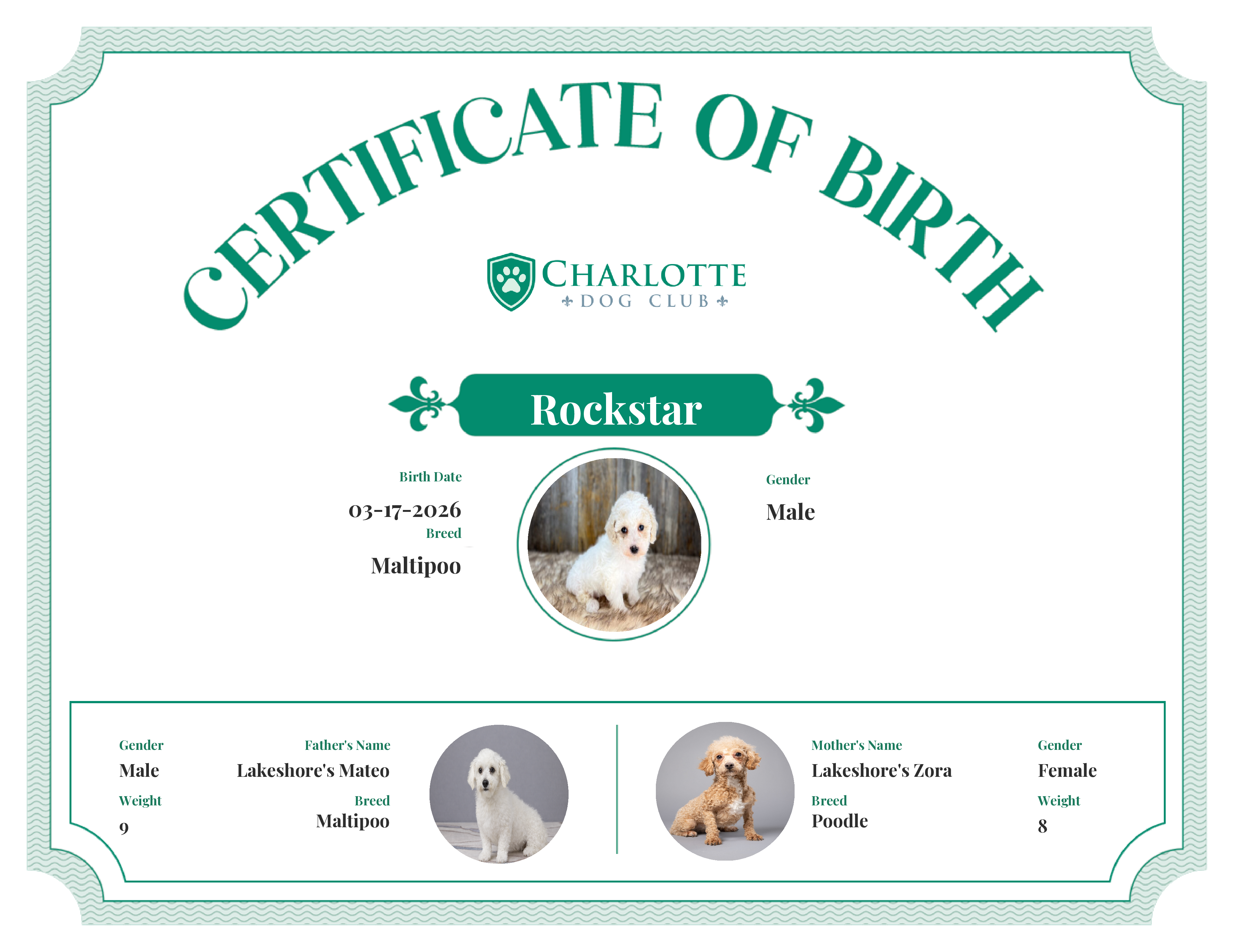 Rockstar's Birth Certificate